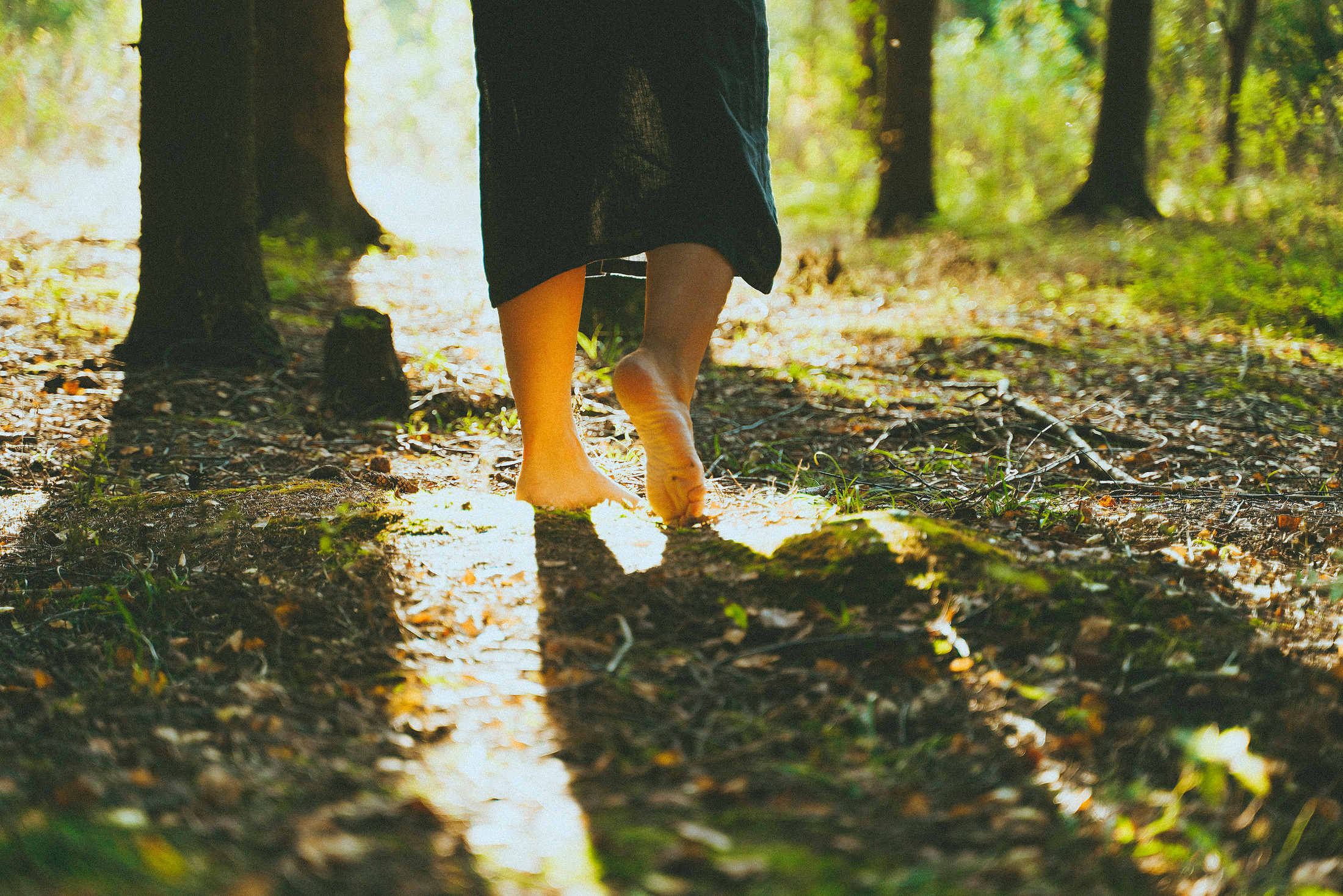 Чувствовать землю. Алиса Аницкая