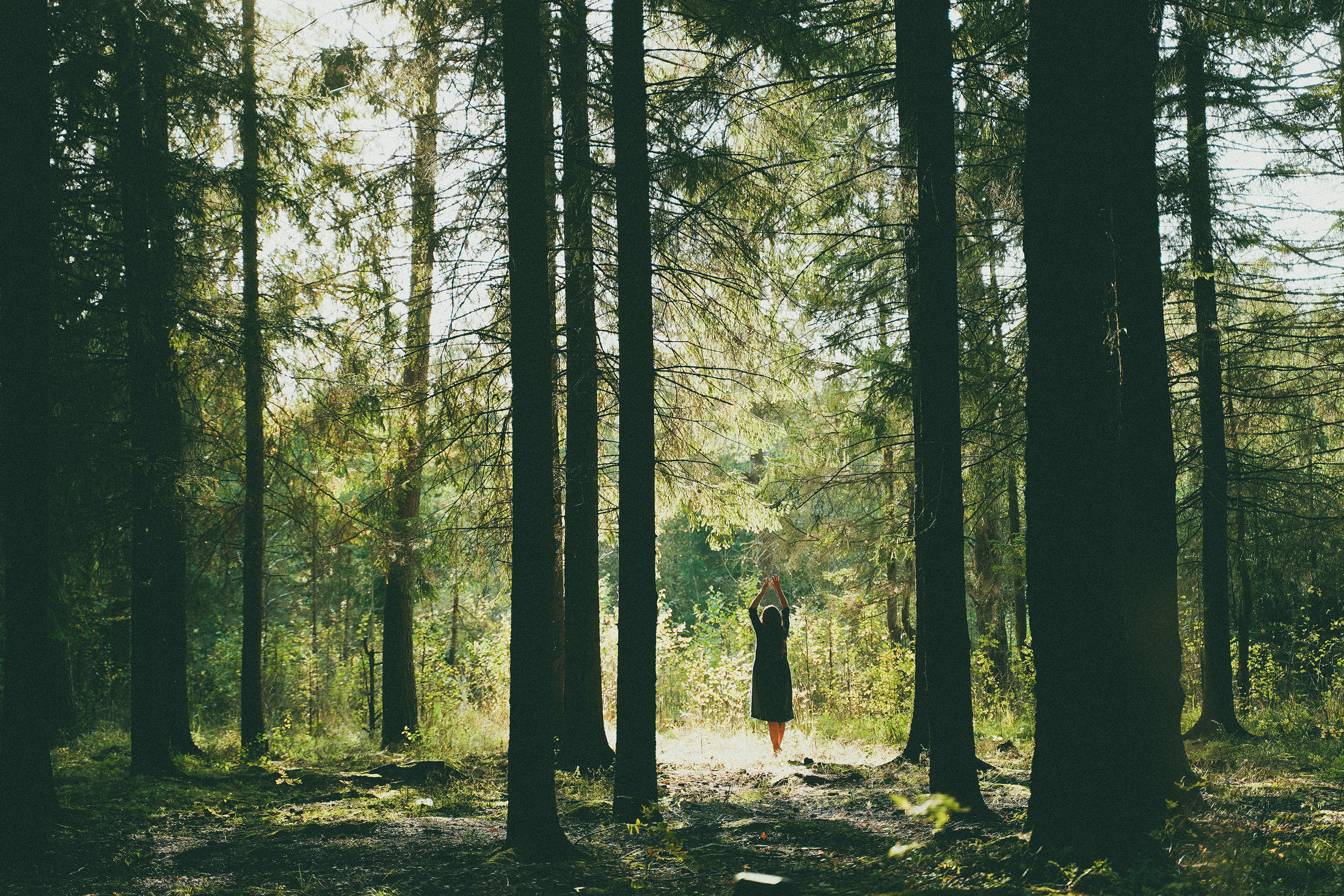 Чувствовать землю. Алиса Аницкая