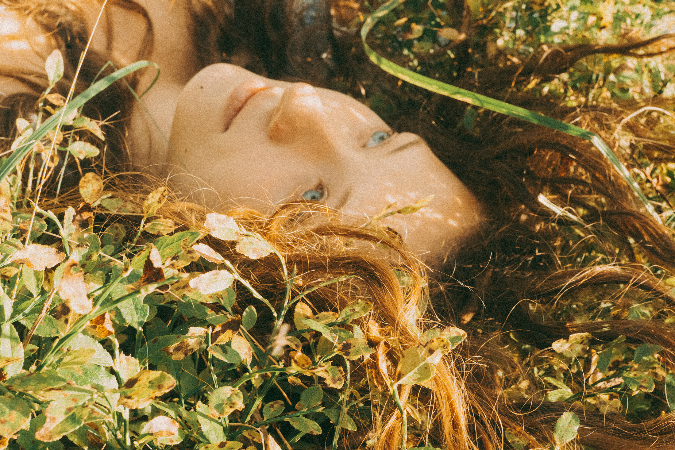 Над соснами. Алиса Аницкая