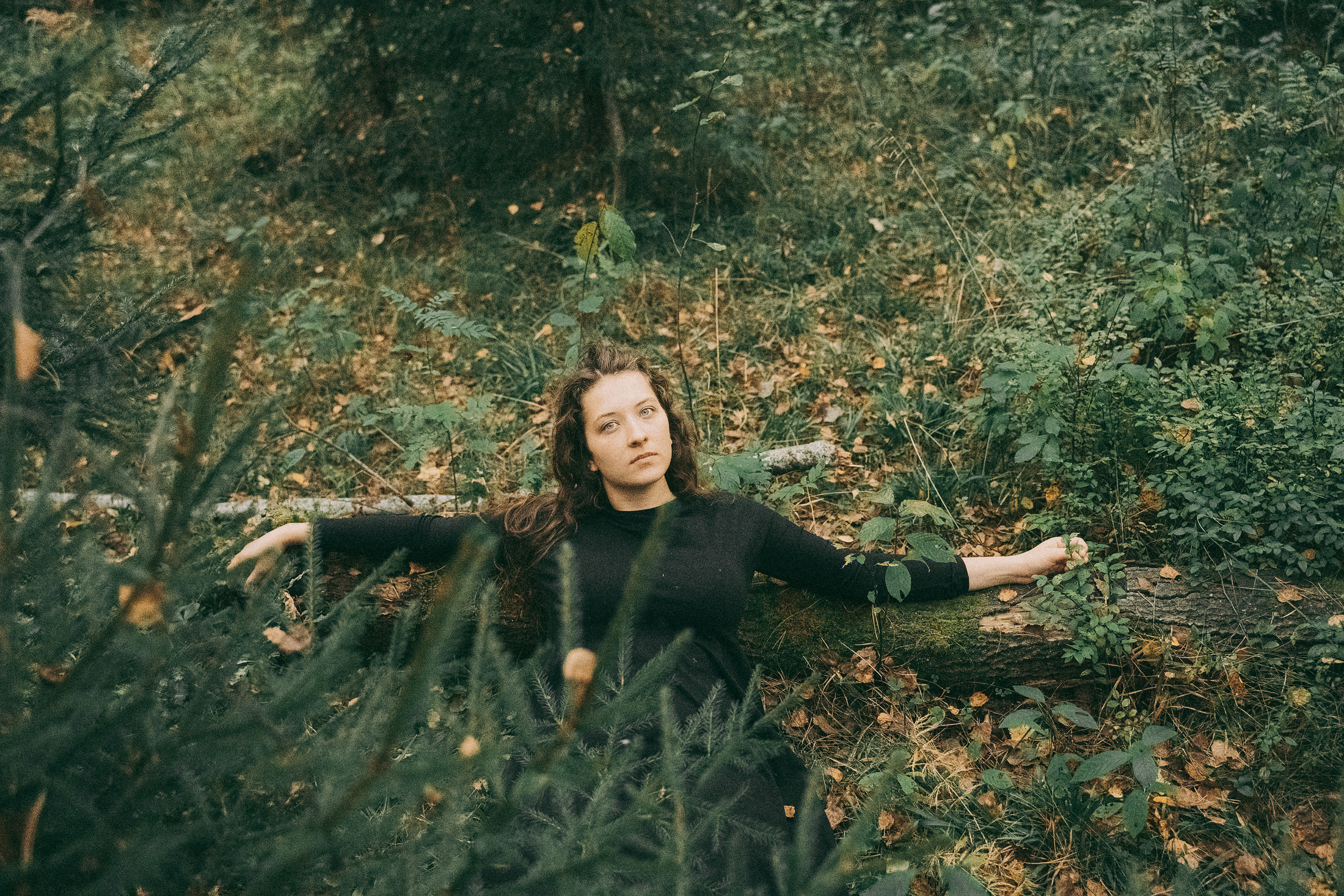 Над соснами. Алиса Аницкая