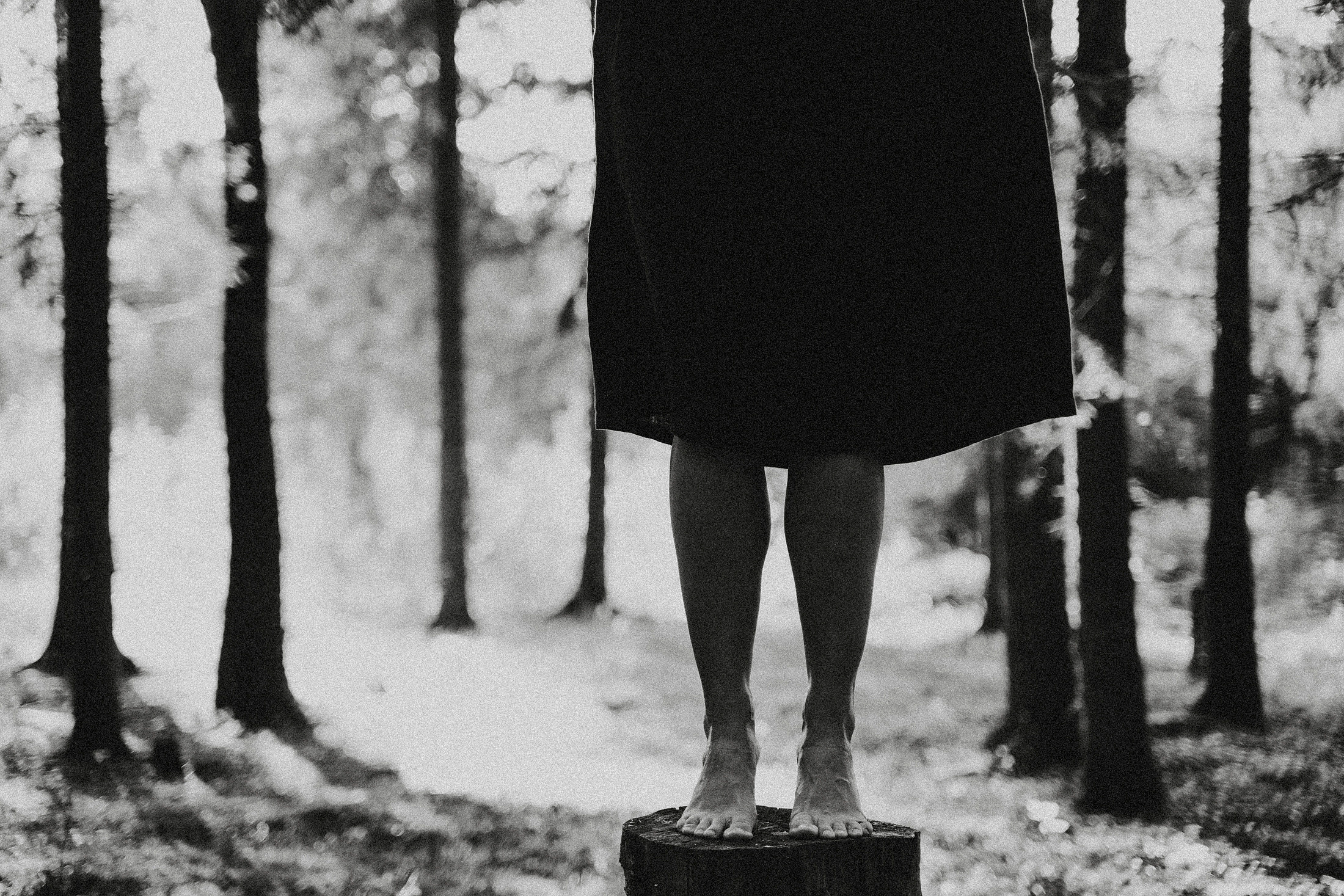 Чувствовать землю. Алиса Аницкая