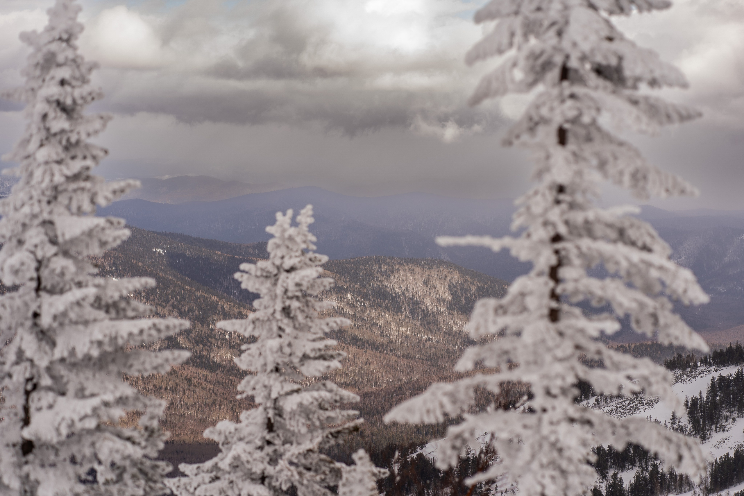Фрирайд. Анастасия Паршукова — фотограф Шерегеш Новосибирск