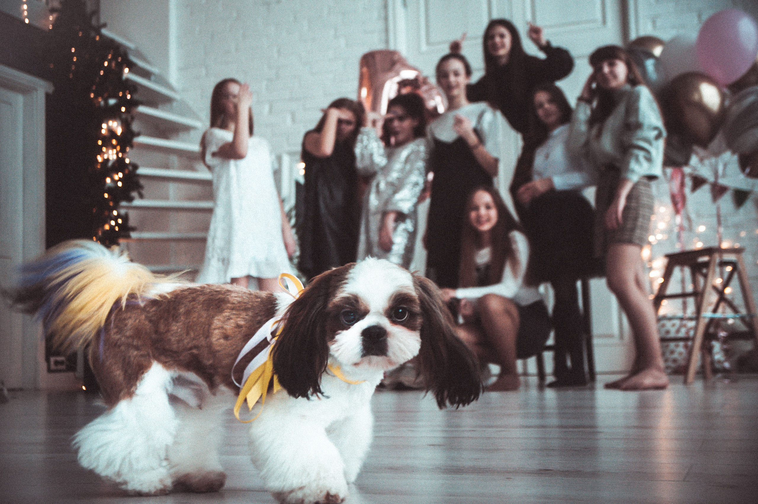 Съемка дня рождения SG