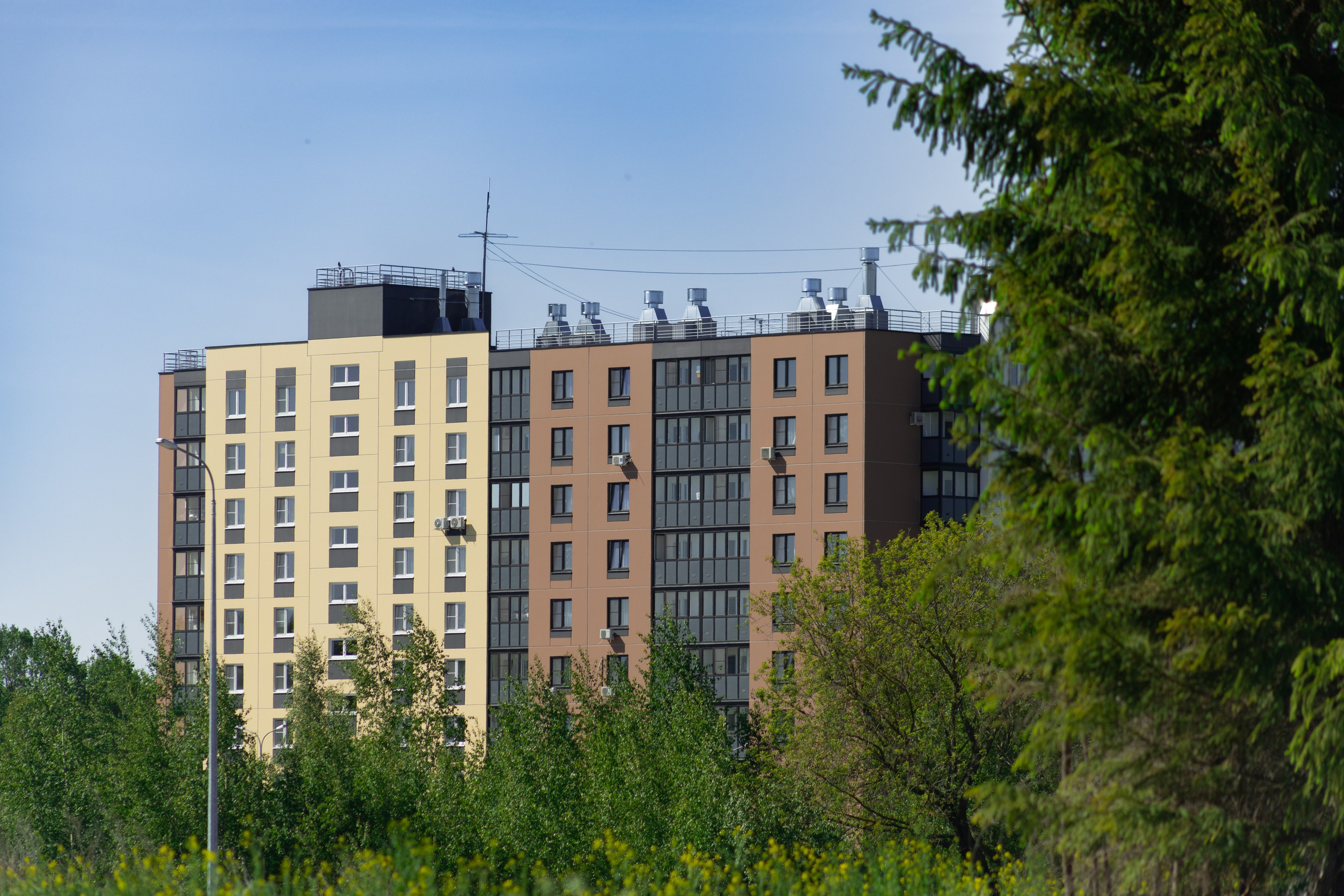 Торпедо. Фотограф Мурманск | Нижний Новгород • Анна Хижняк