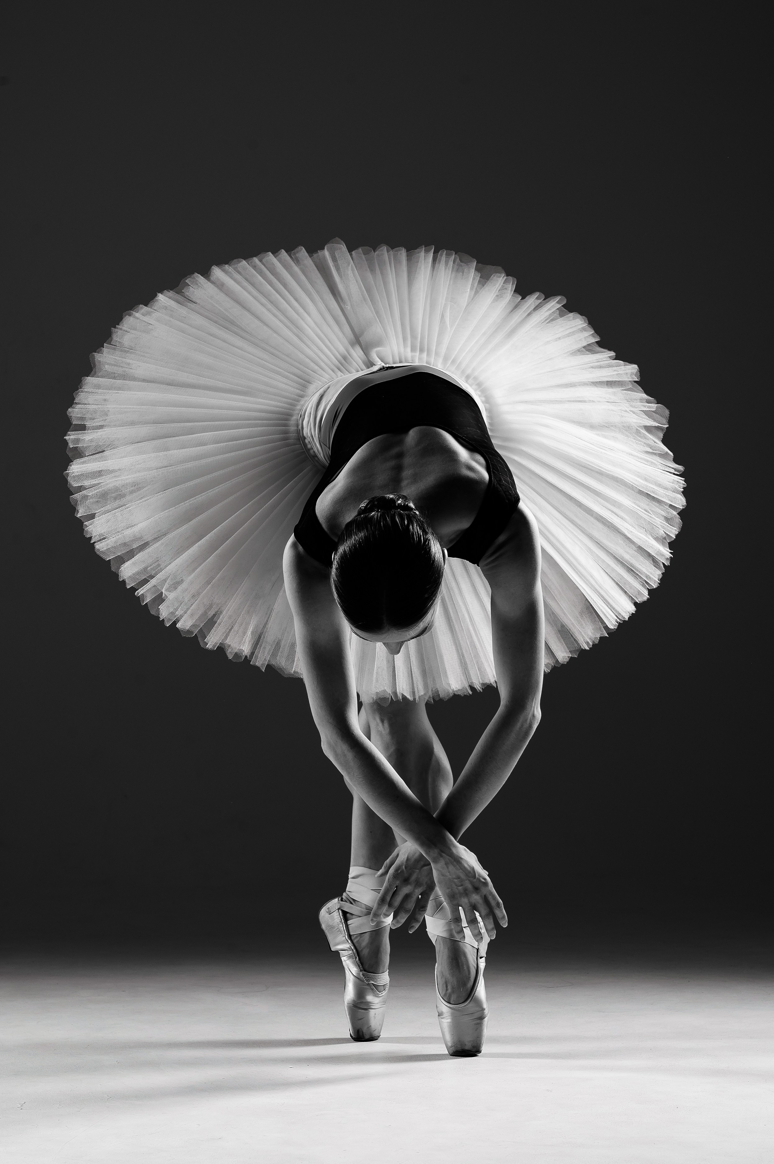 Главная-монохром