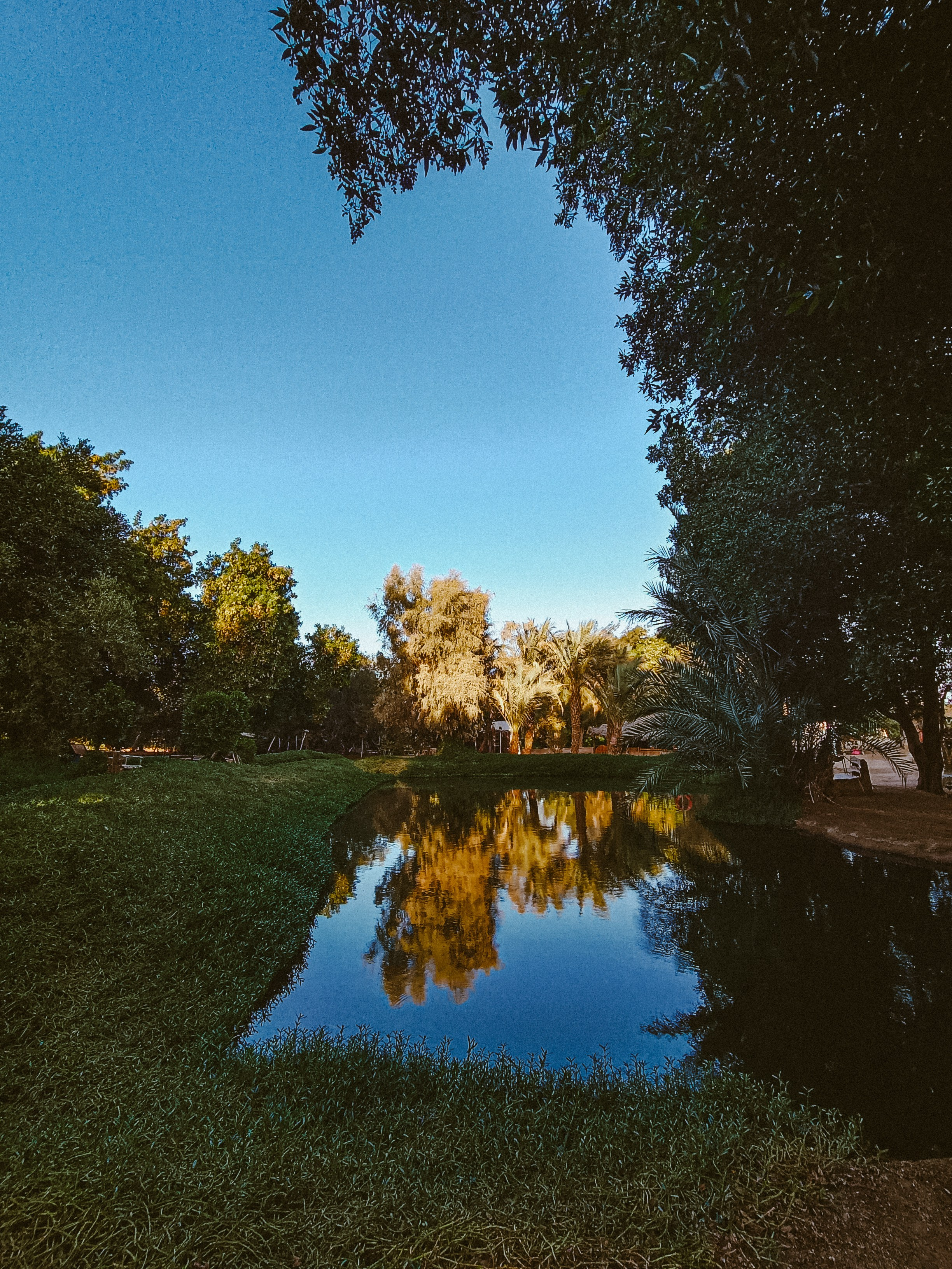 Мобильная. Jorgis — фотограф в Хургаде / обучение фотографии