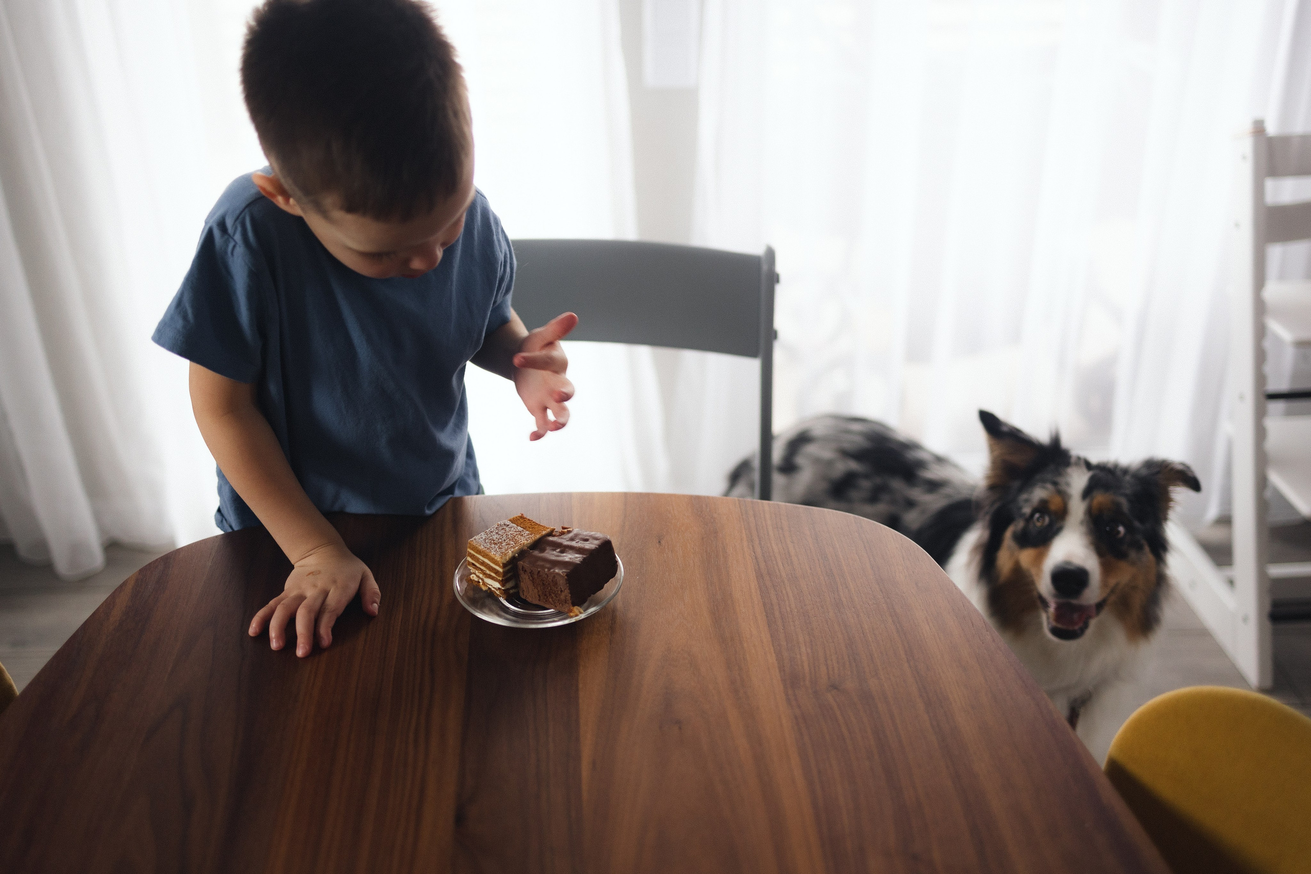 Появление брата. Фотограф из Петербурга