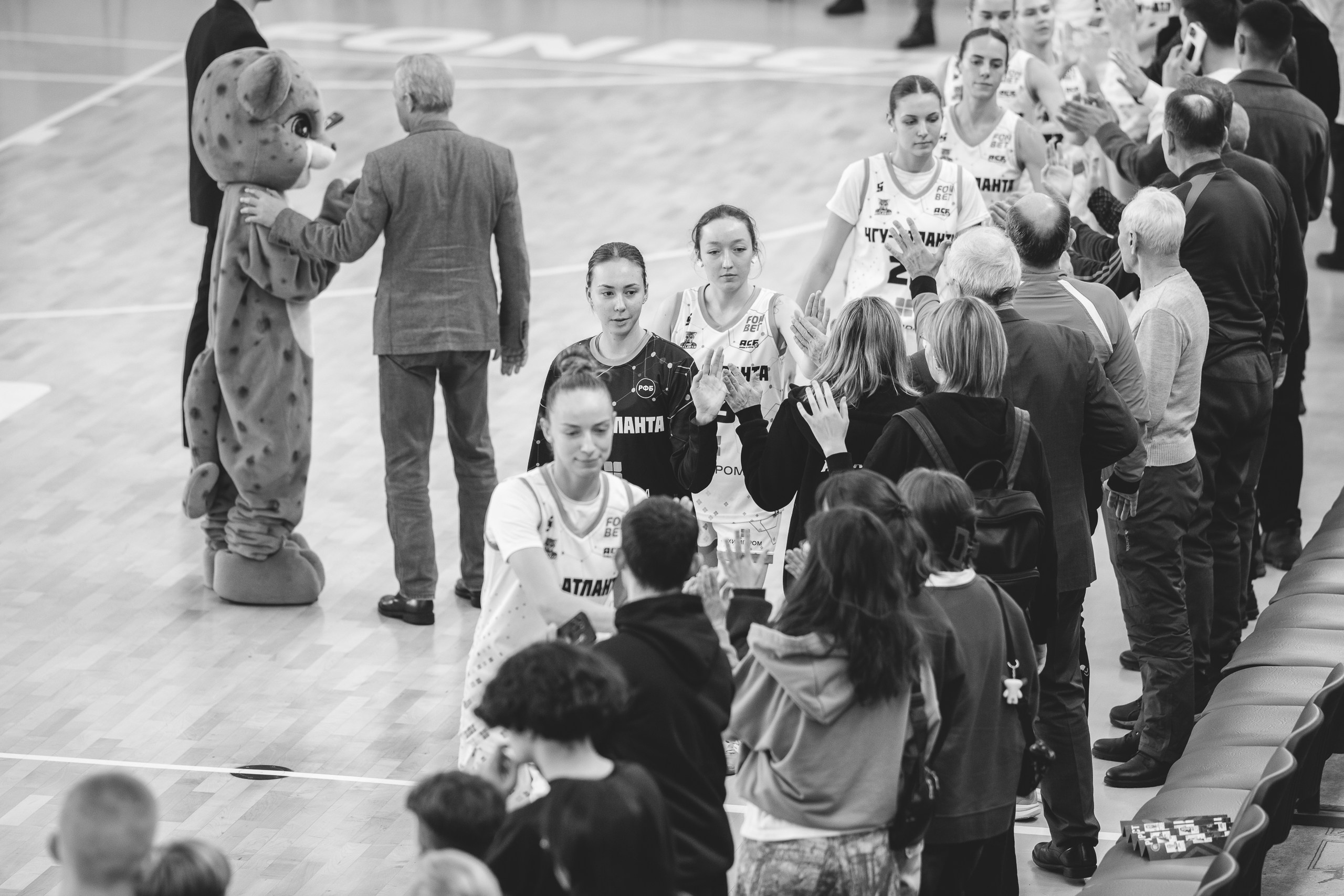 ЧГУ-Атланта — Динамо / 2 игра. Фотография