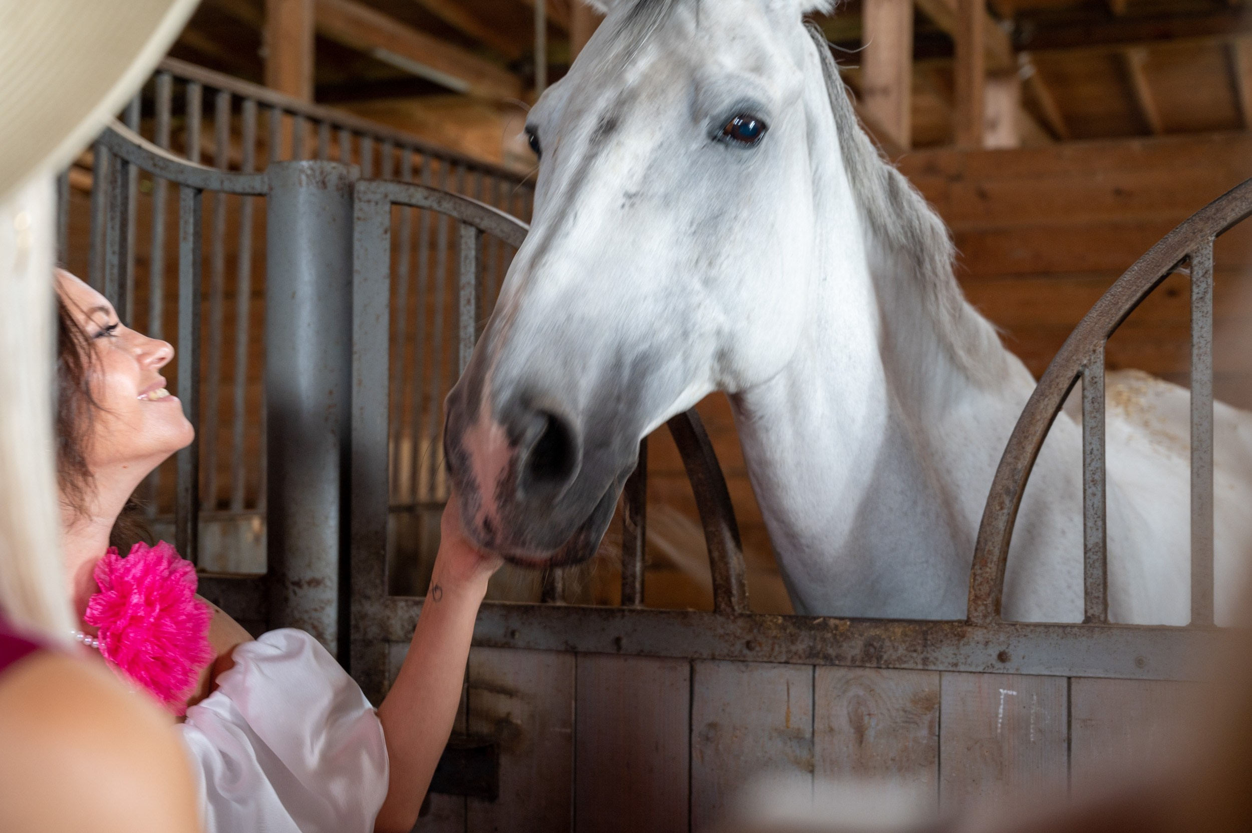 Ферма «ЭКЗАРХО» 03.10.2024 г. Фотографирую счастливых людей в Сочи