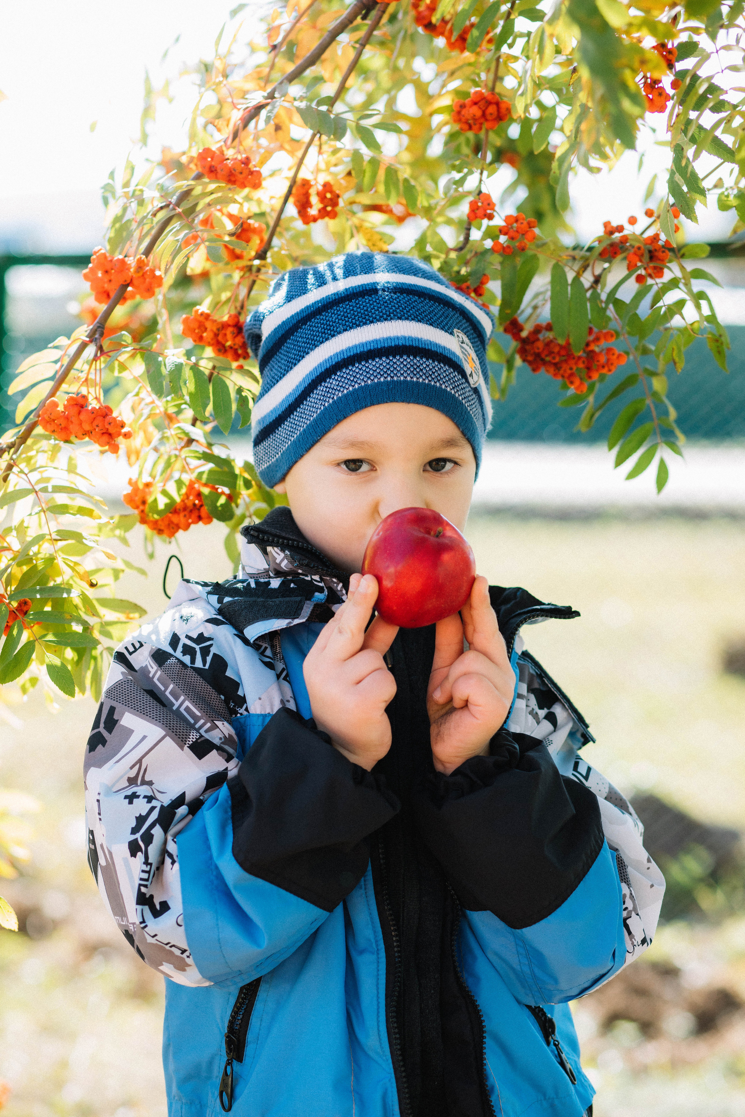 Сады. Фотограф Регина Даниловна Усть — Катав