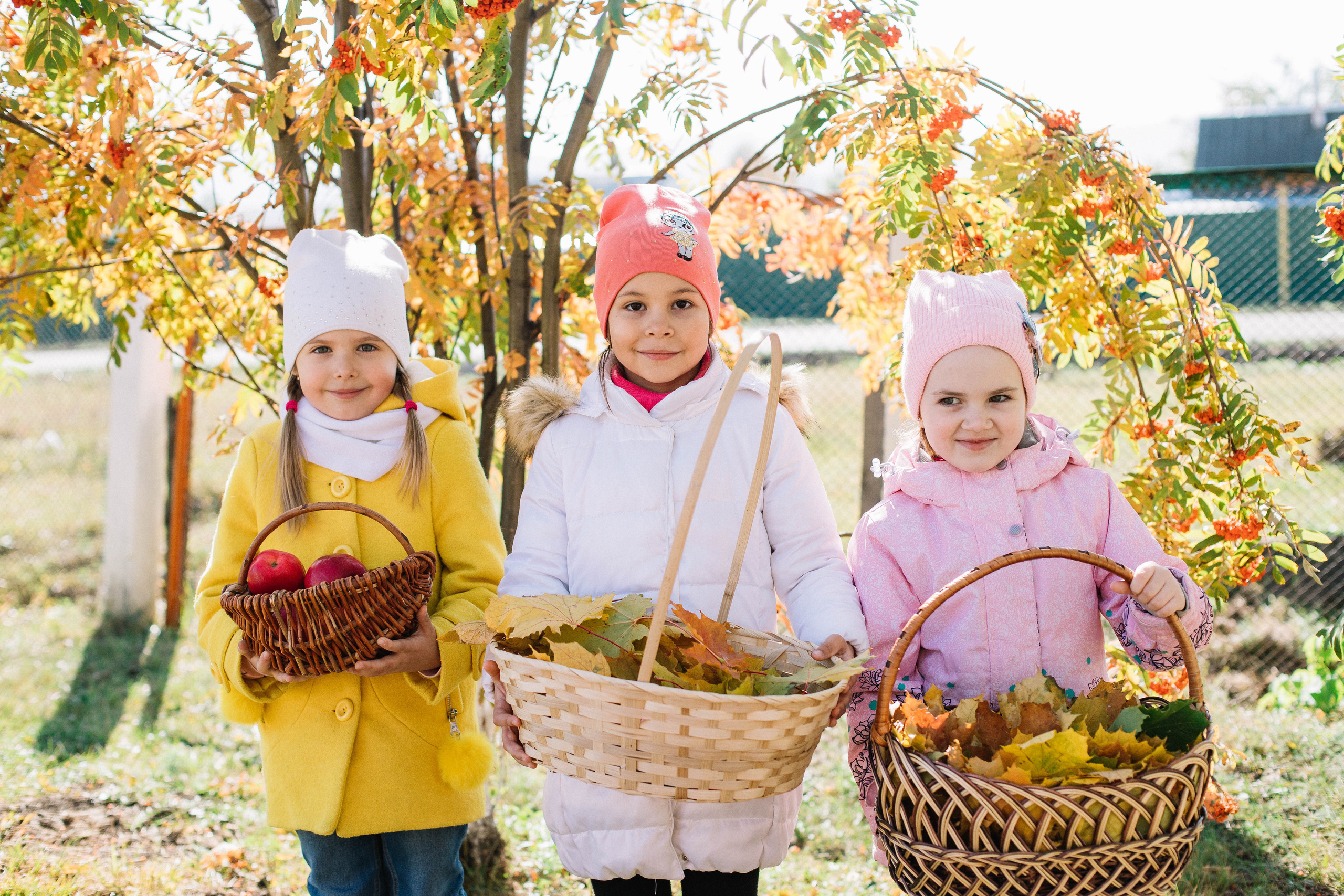 Сады. Фотограф Регина Даниловна Усть — Катав