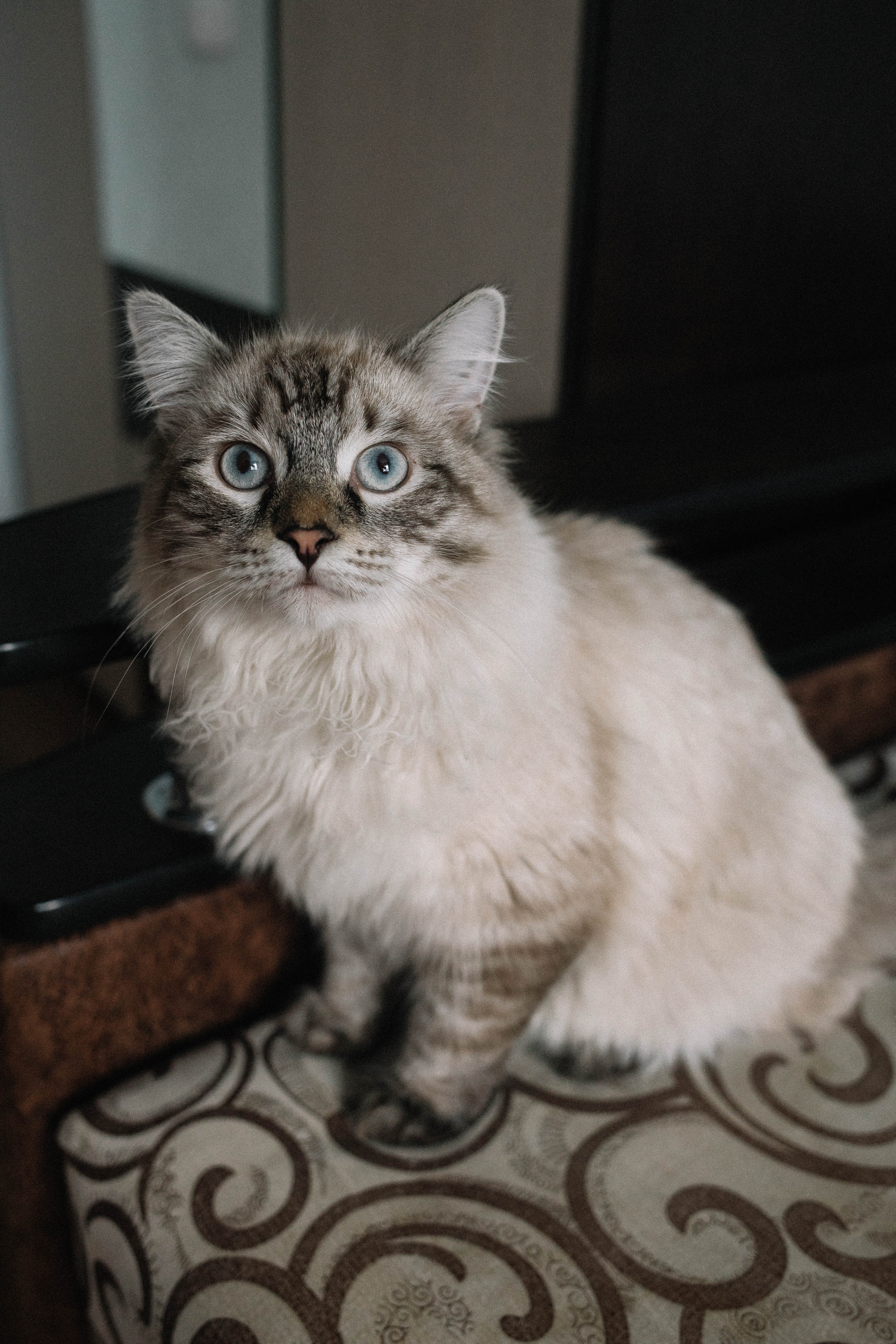 Владимир и Мария. Фотограф Регина Даниловна Усть — Катав