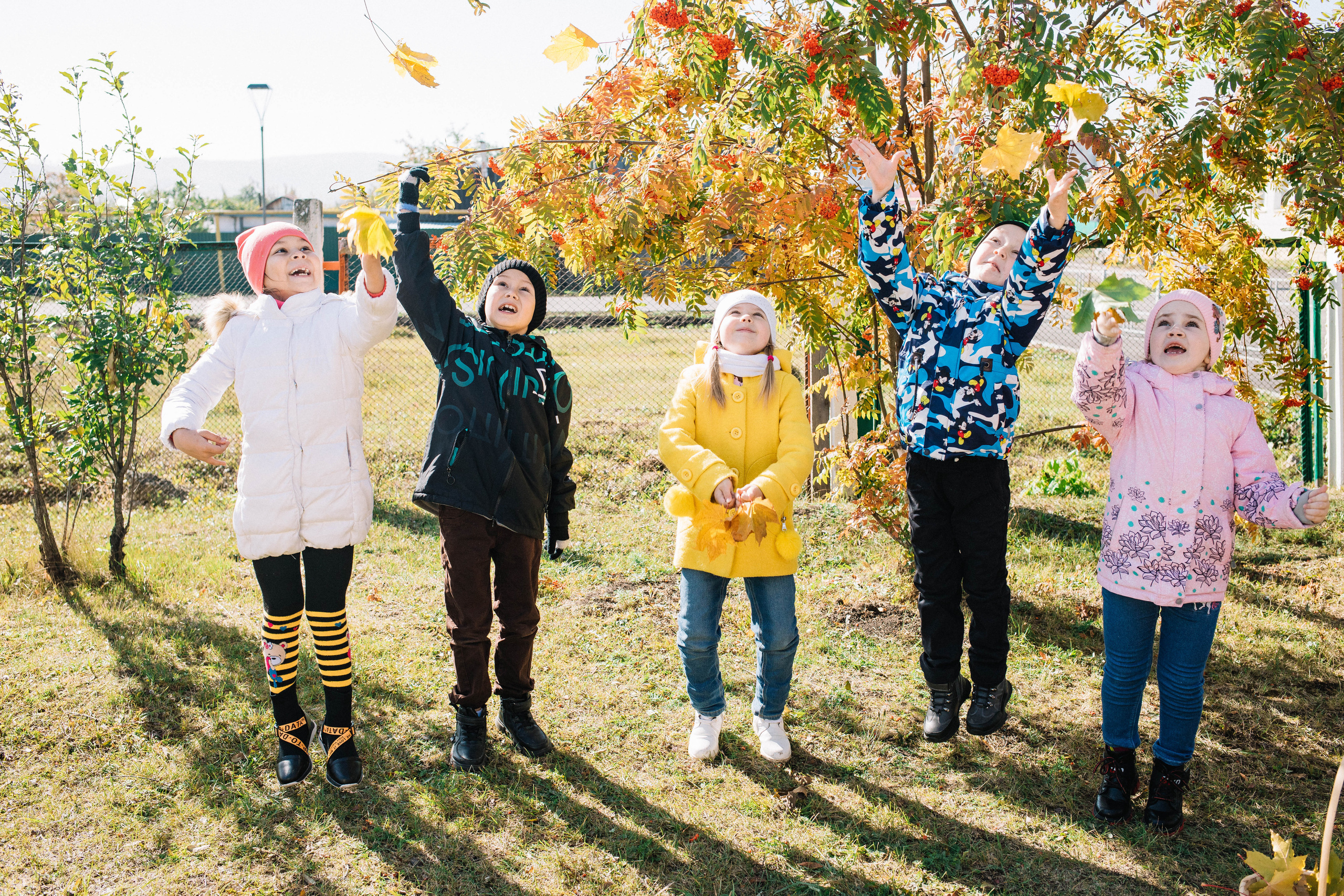 Сады. Фотограф Регина Даниловна Усть — Катав