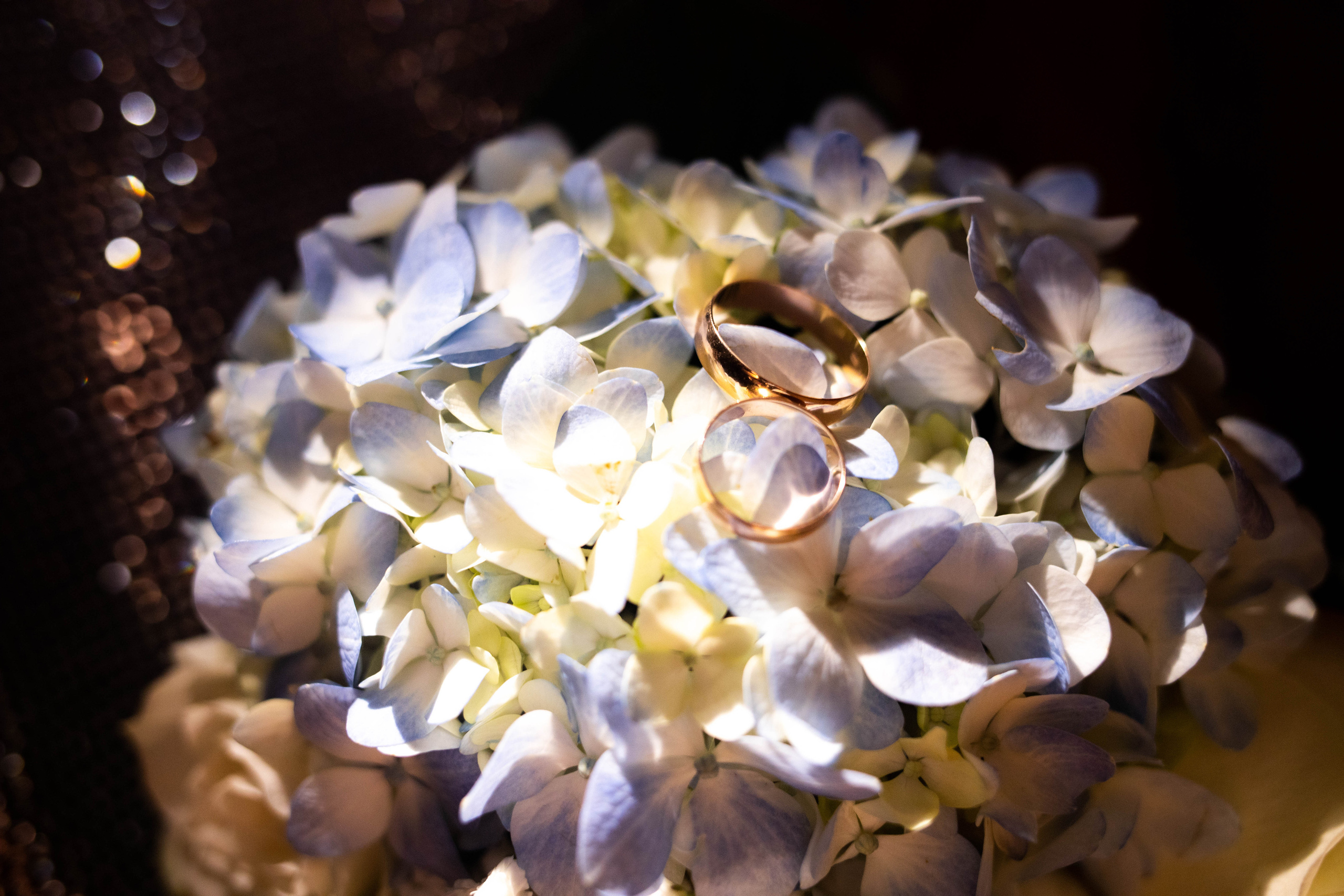 Владимир и Мария. Фотограф Регина Даниловна Усть — Катав