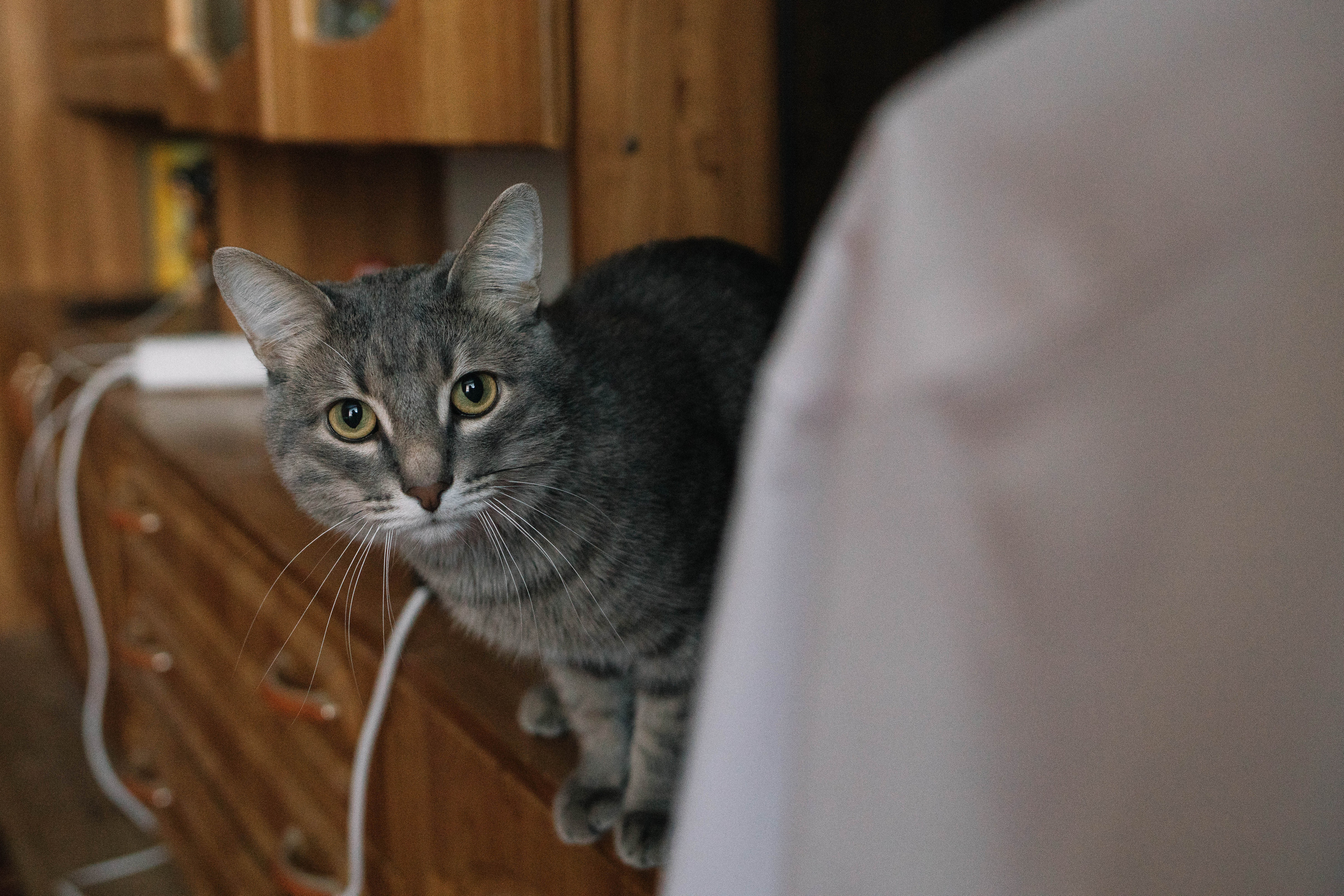 Владимир и Мария. Фотограф Регина Даниловна Усть — Катав