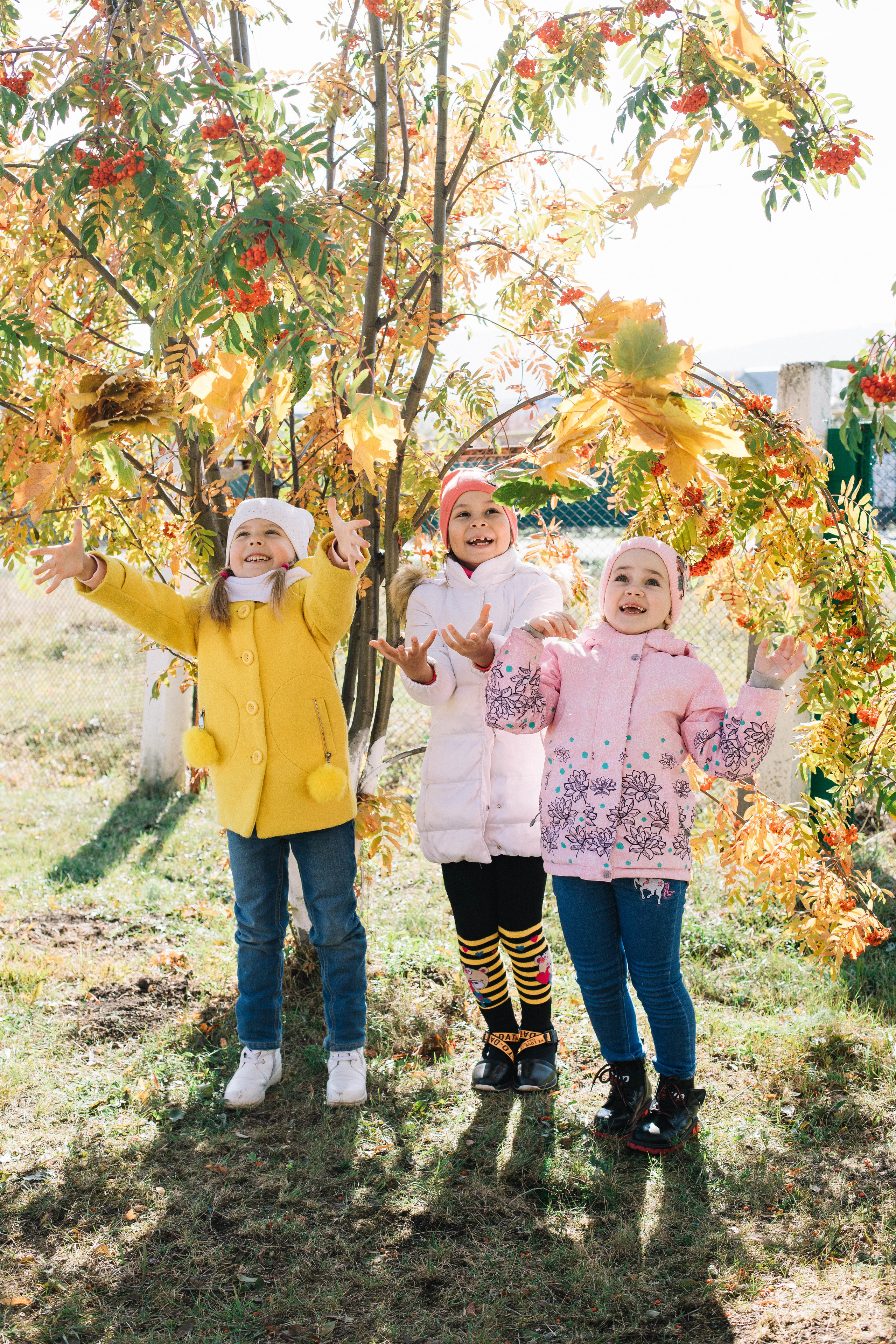 Сады. Фотограф Регина Даниловна Усть — Катав