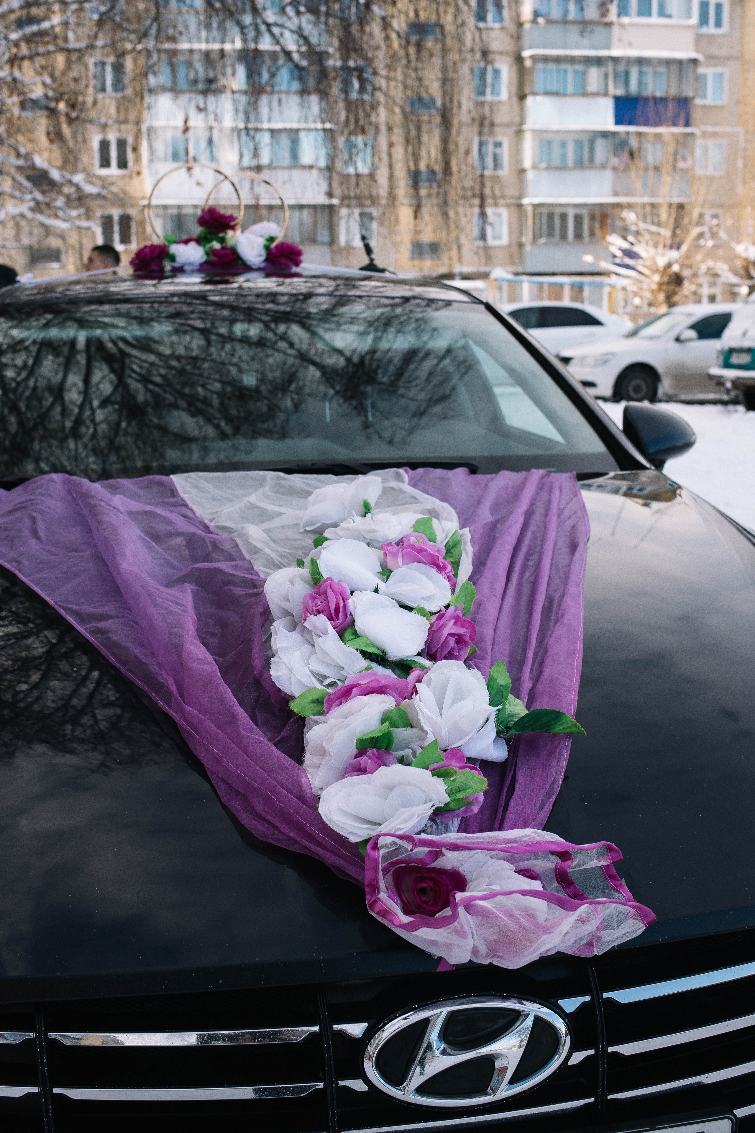 Владимир и Мария. Фотограф Регина Даниловна Усть — Катав