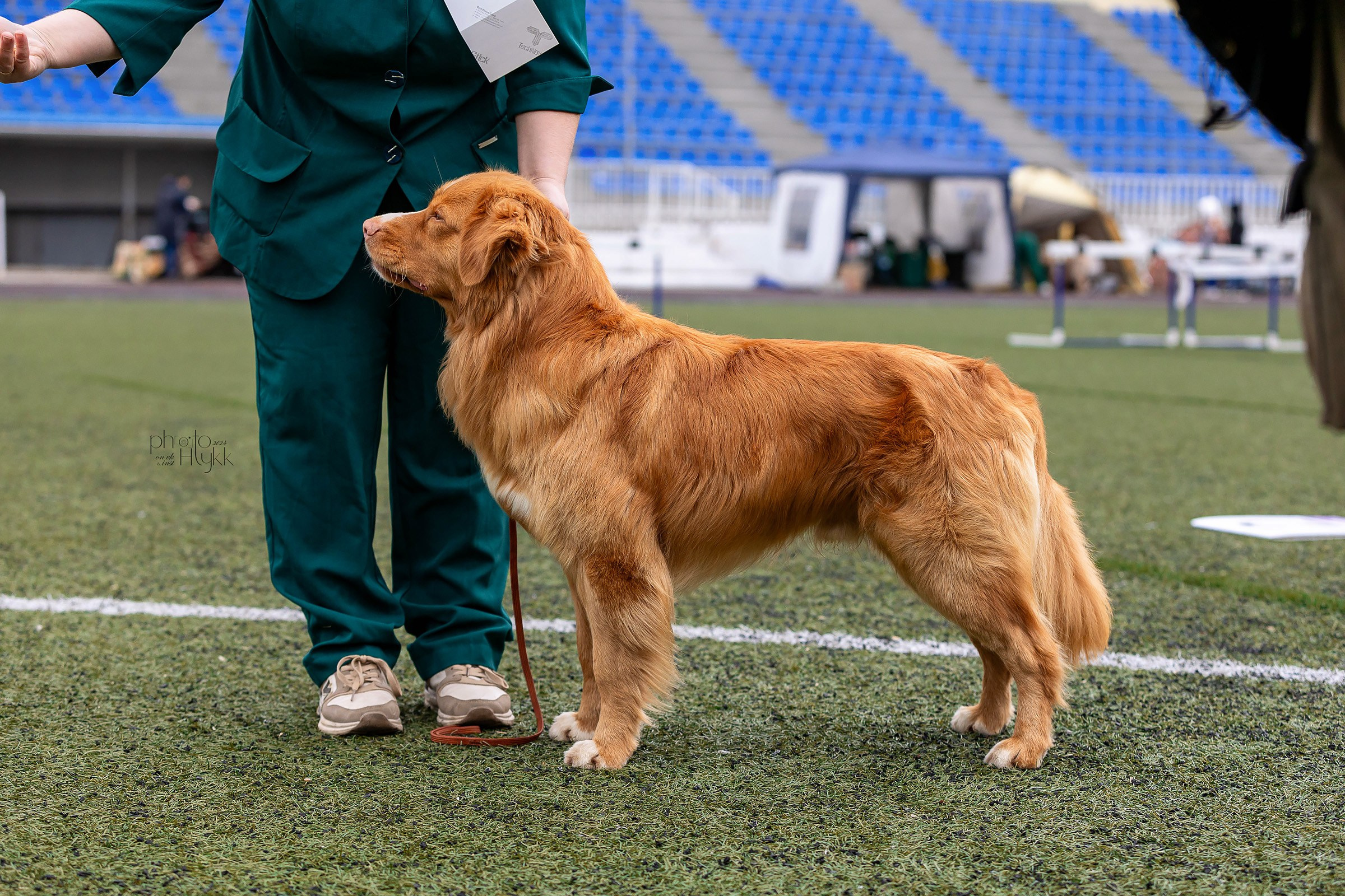 26 мая 2024, Выставка РКФ, г. Пермь. Htykk_photo