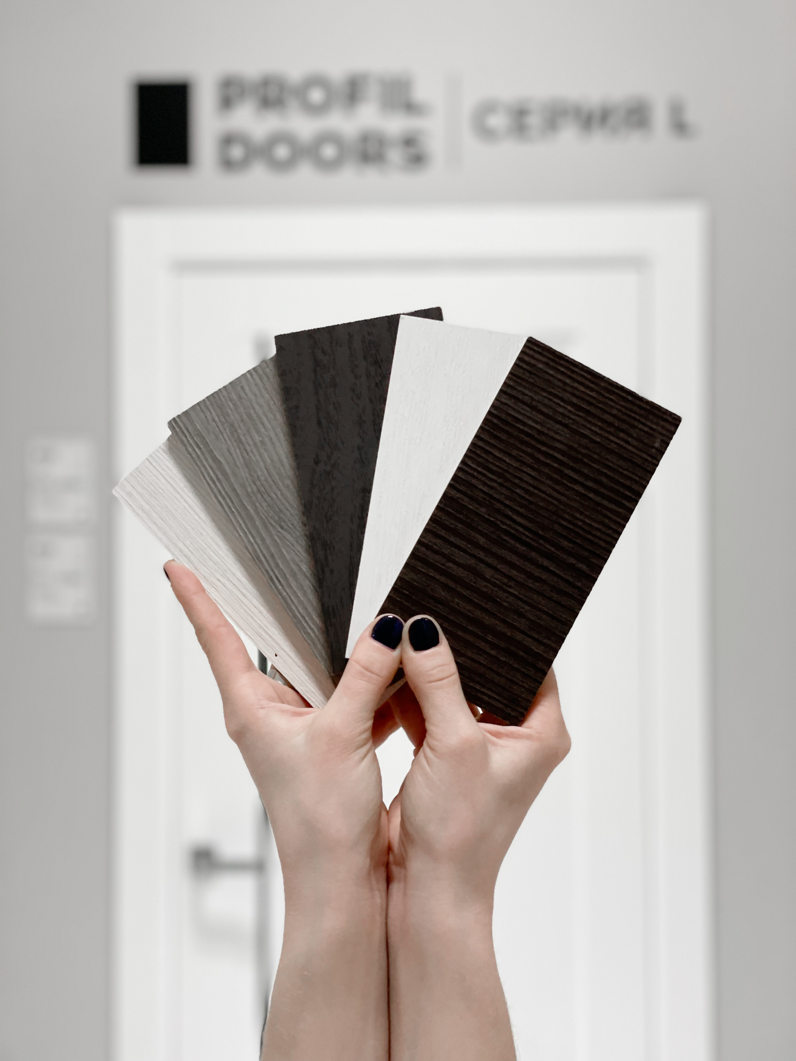 PROFILDOORS. SASHA SKETCHER