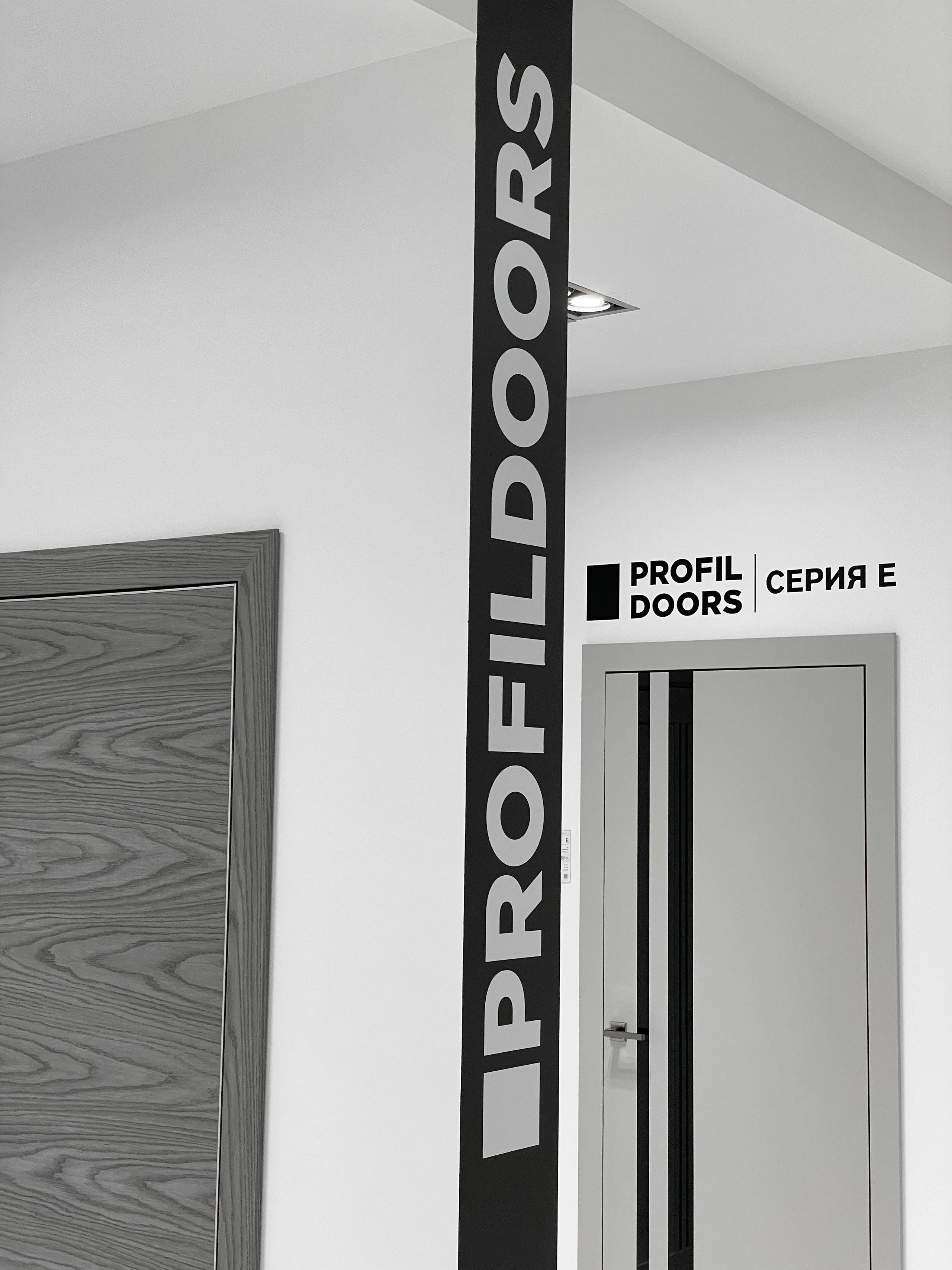 PROFILDOORS. SASHA SKETCHER