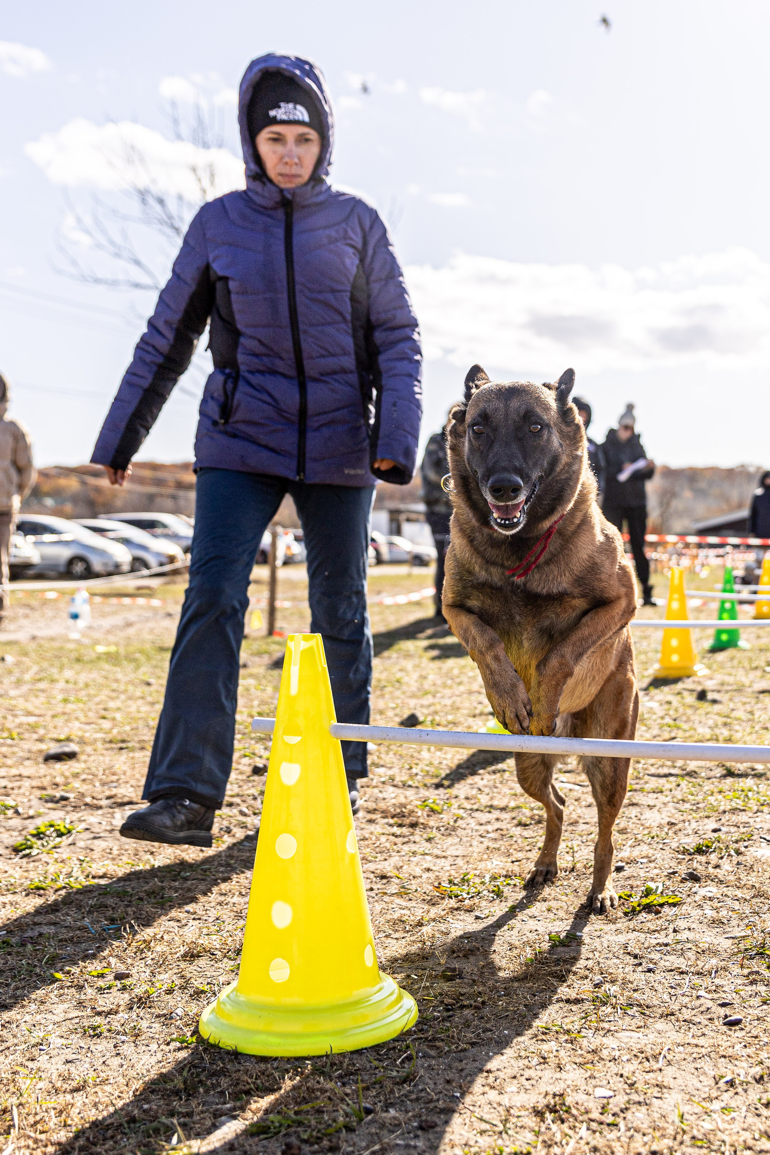 Кинологический квест г. Находка