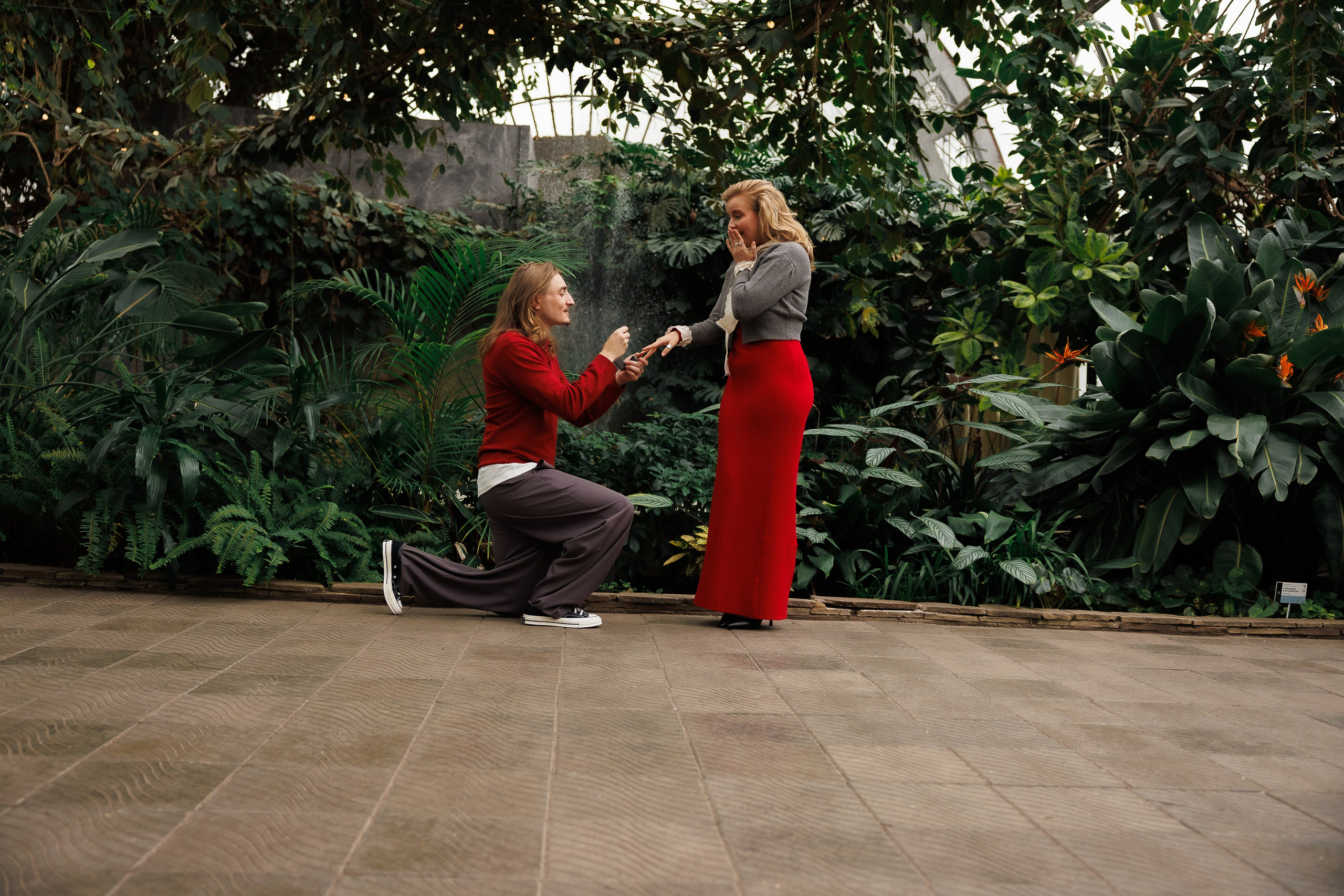 Предложение в оранжерее. Свадебный и семейный фотограф в Москве Красинская Мария