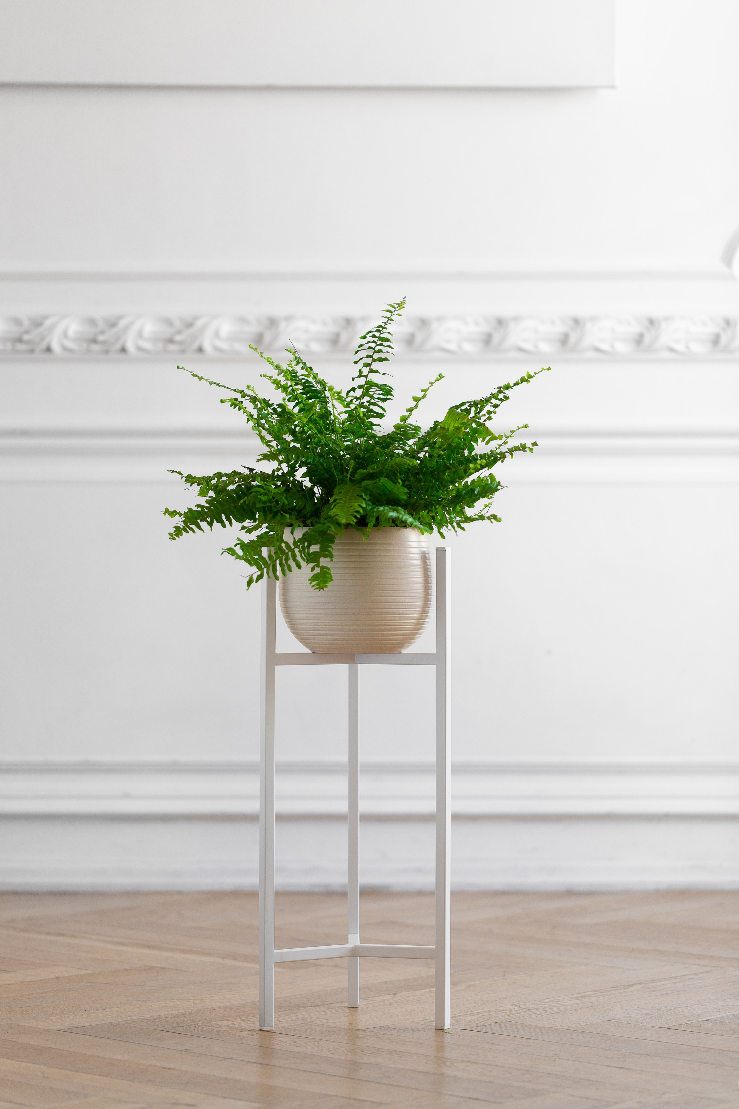 GREENWEEN. Дизайнерская мебель. Интерьерный фотограф и видеограф в Санкт-Петербурге Вадим Балбашевский