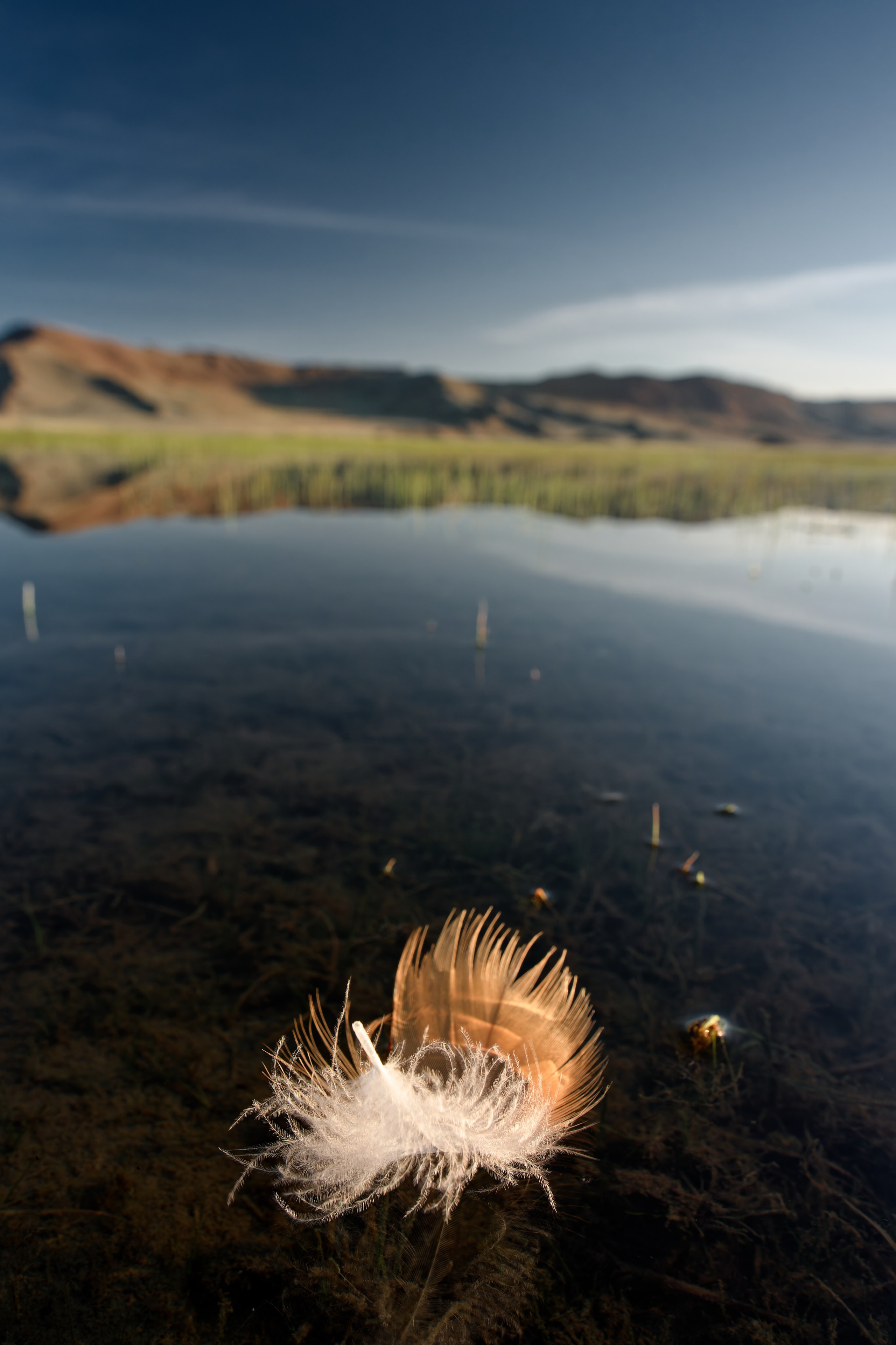 Экспедиция в Монголию (Гоби). Семоха Валерий. Фотограф