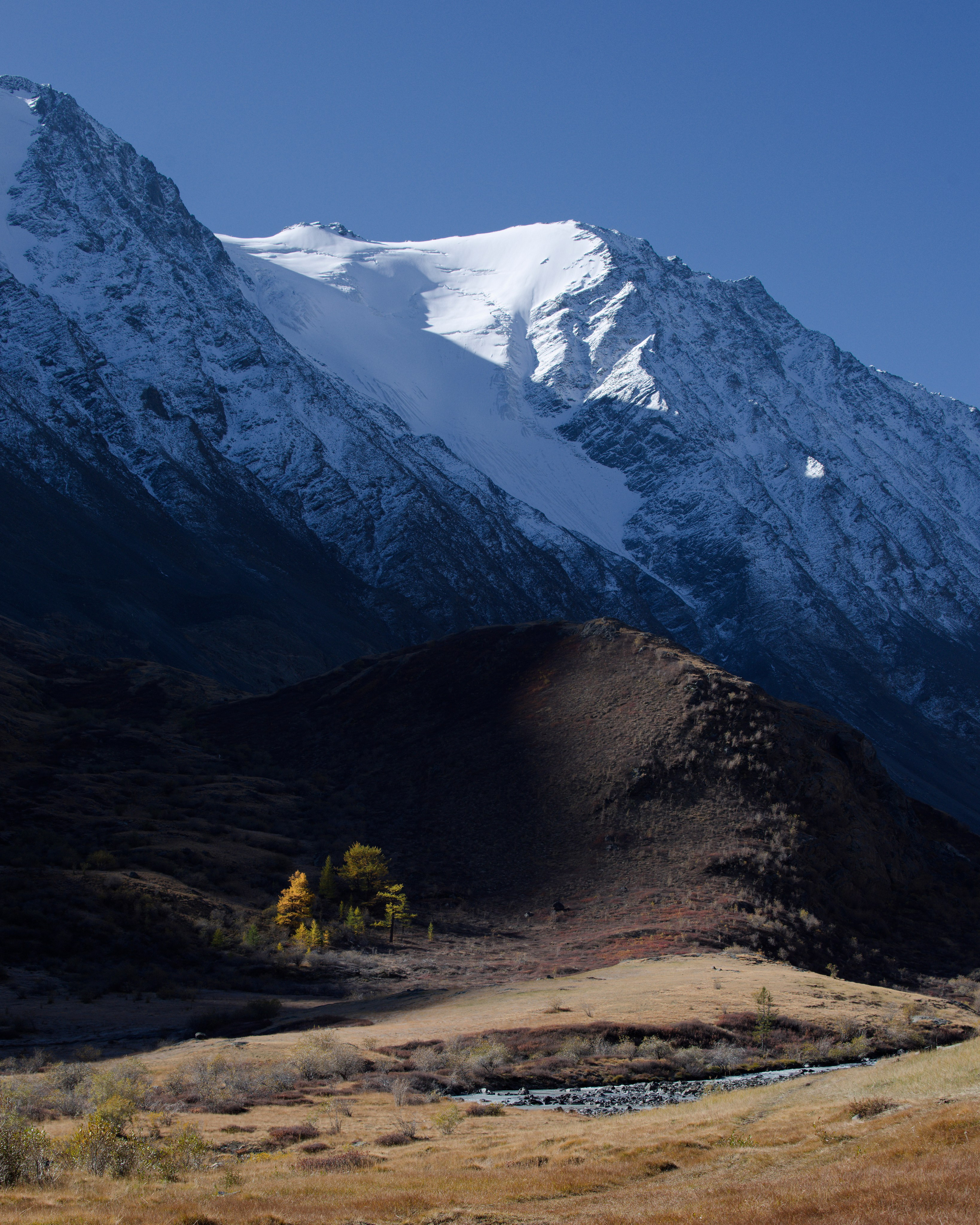 Вид на деревья в тени на склоне ущелья Аккол