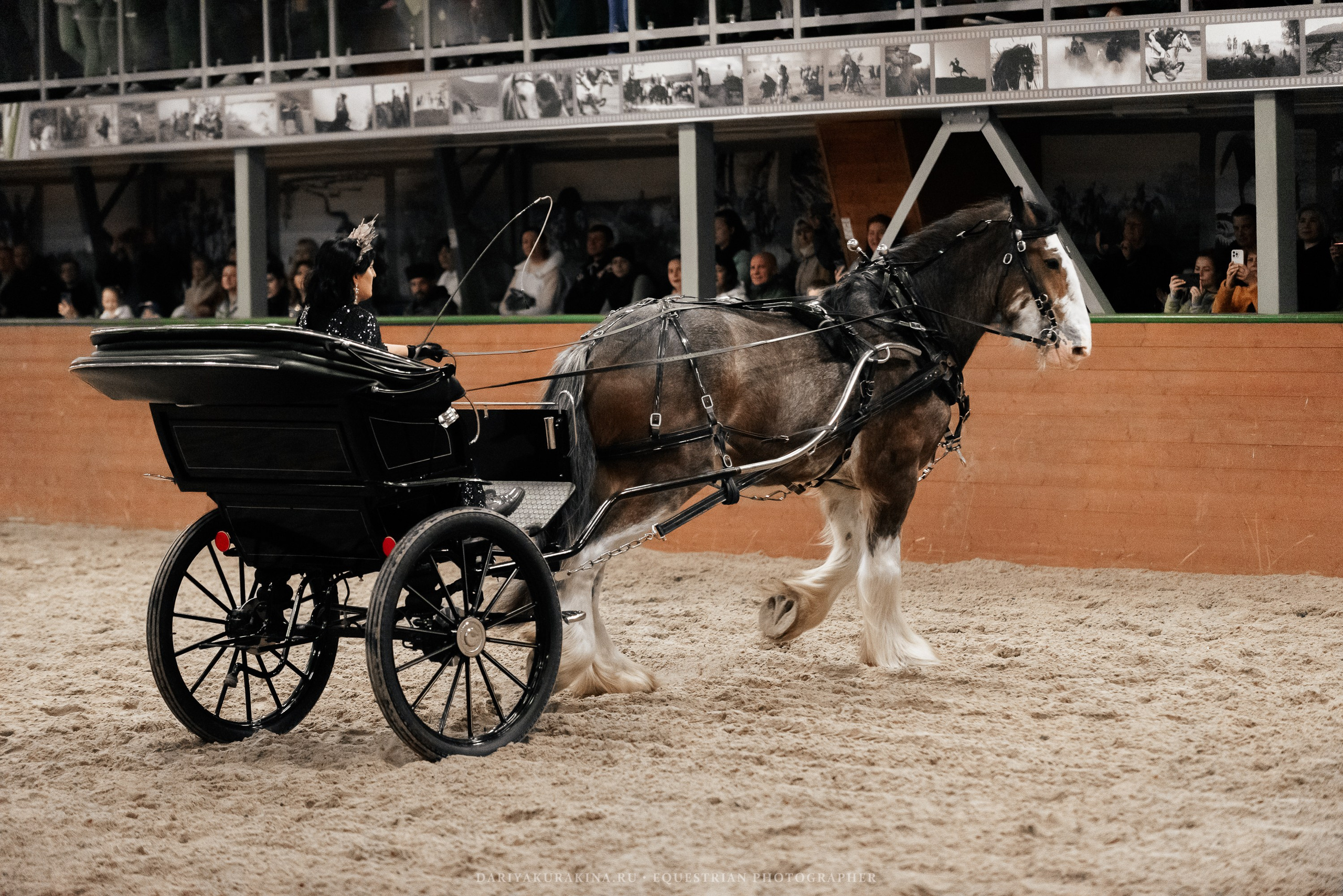 Конное представление «Дыхание Звёзд». Конный фотограф Куракина Дарья • Фотосессии с лошадьми