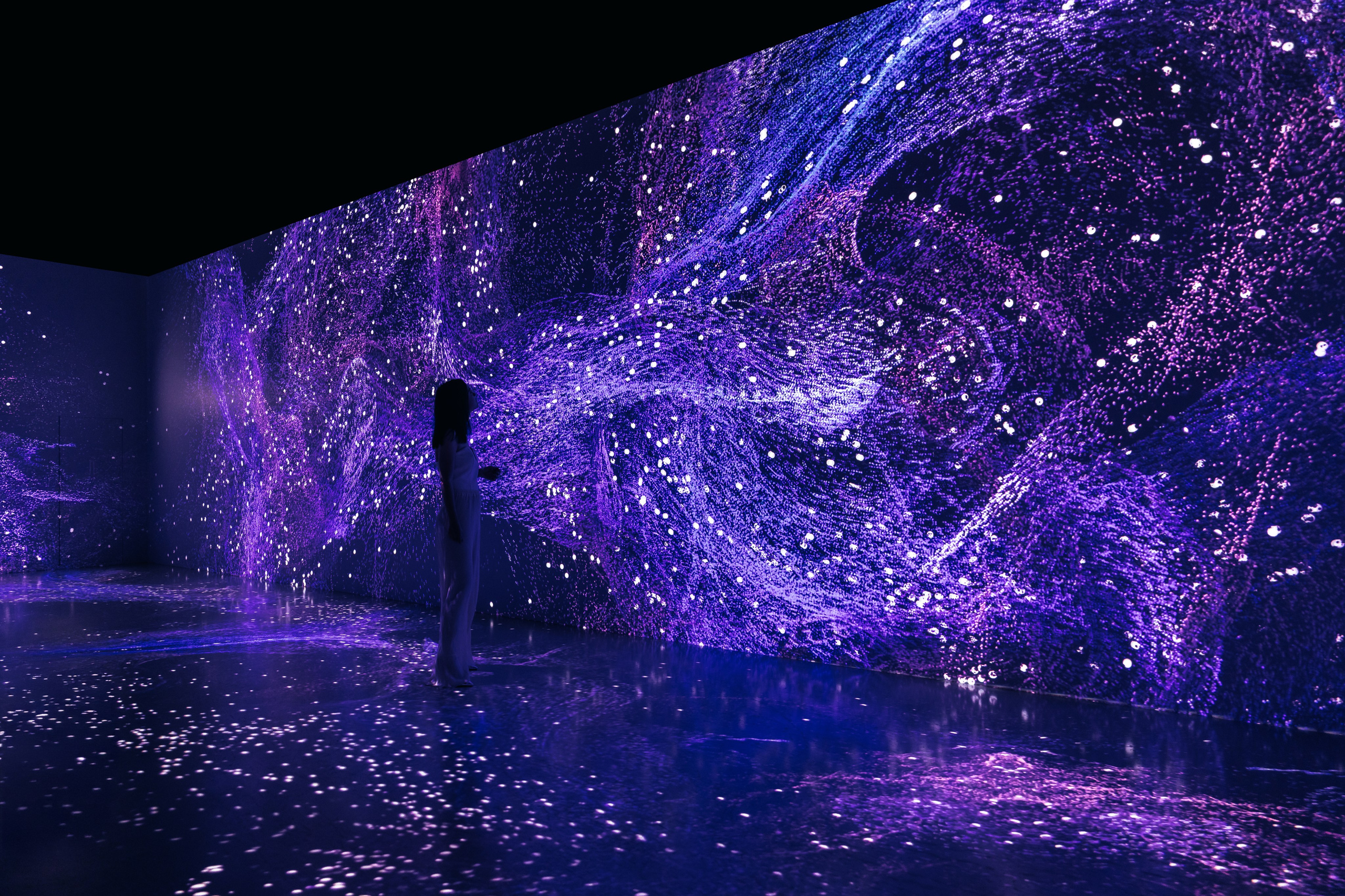 VI Ocean, Tutankhamun, SILA SVETA. @tomrus: Рустам Шагиморданов — фотограф