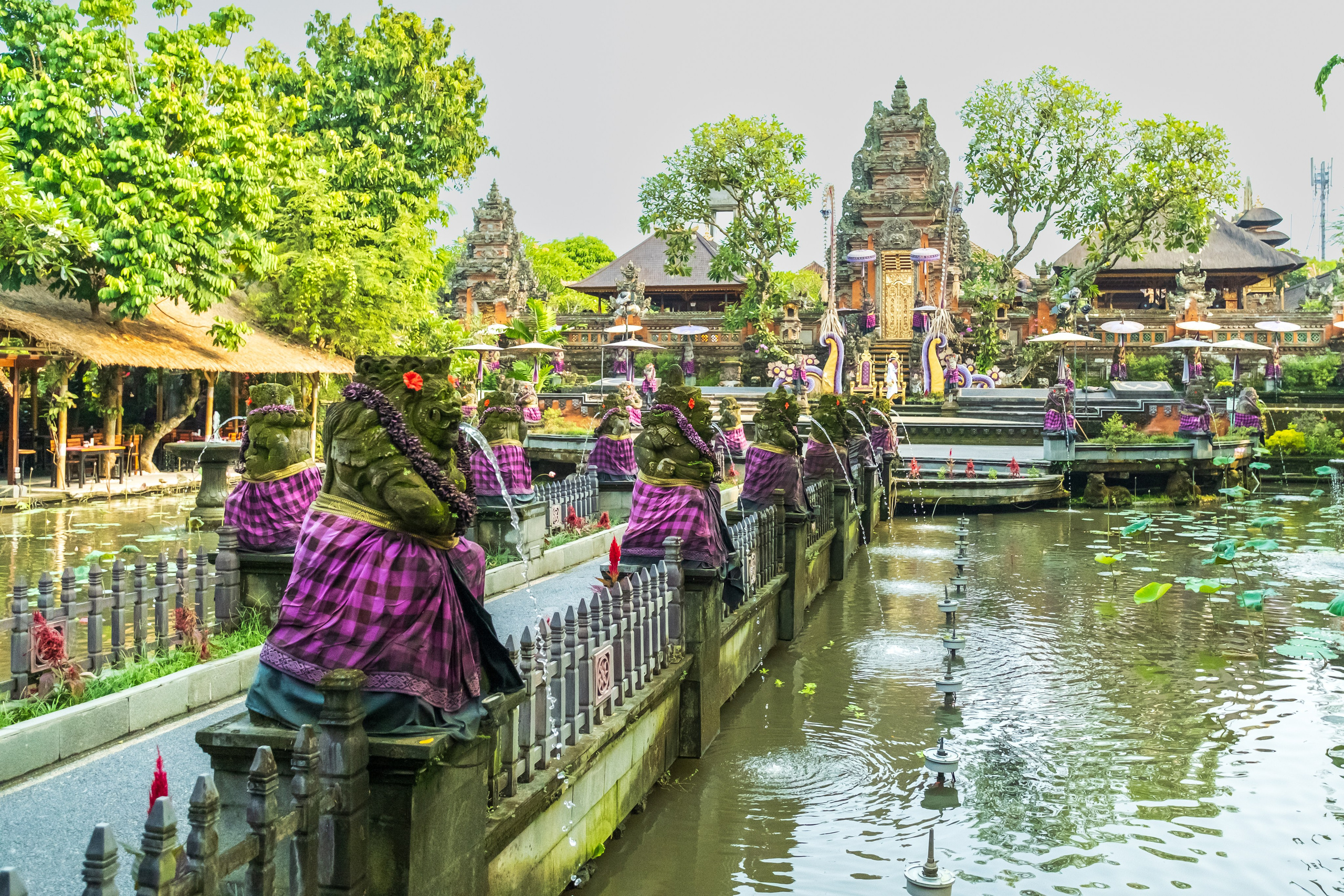 Остров Бали г. Убуд. Фотографии из путешествий