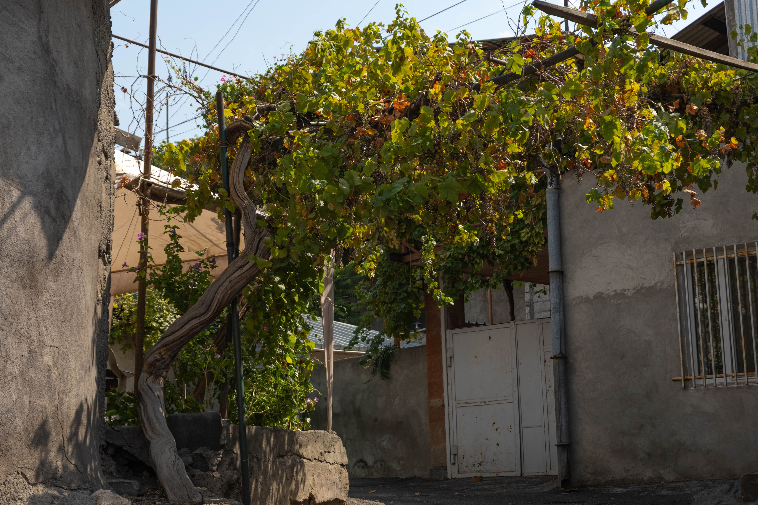 Конд. Фотографии из путешествий