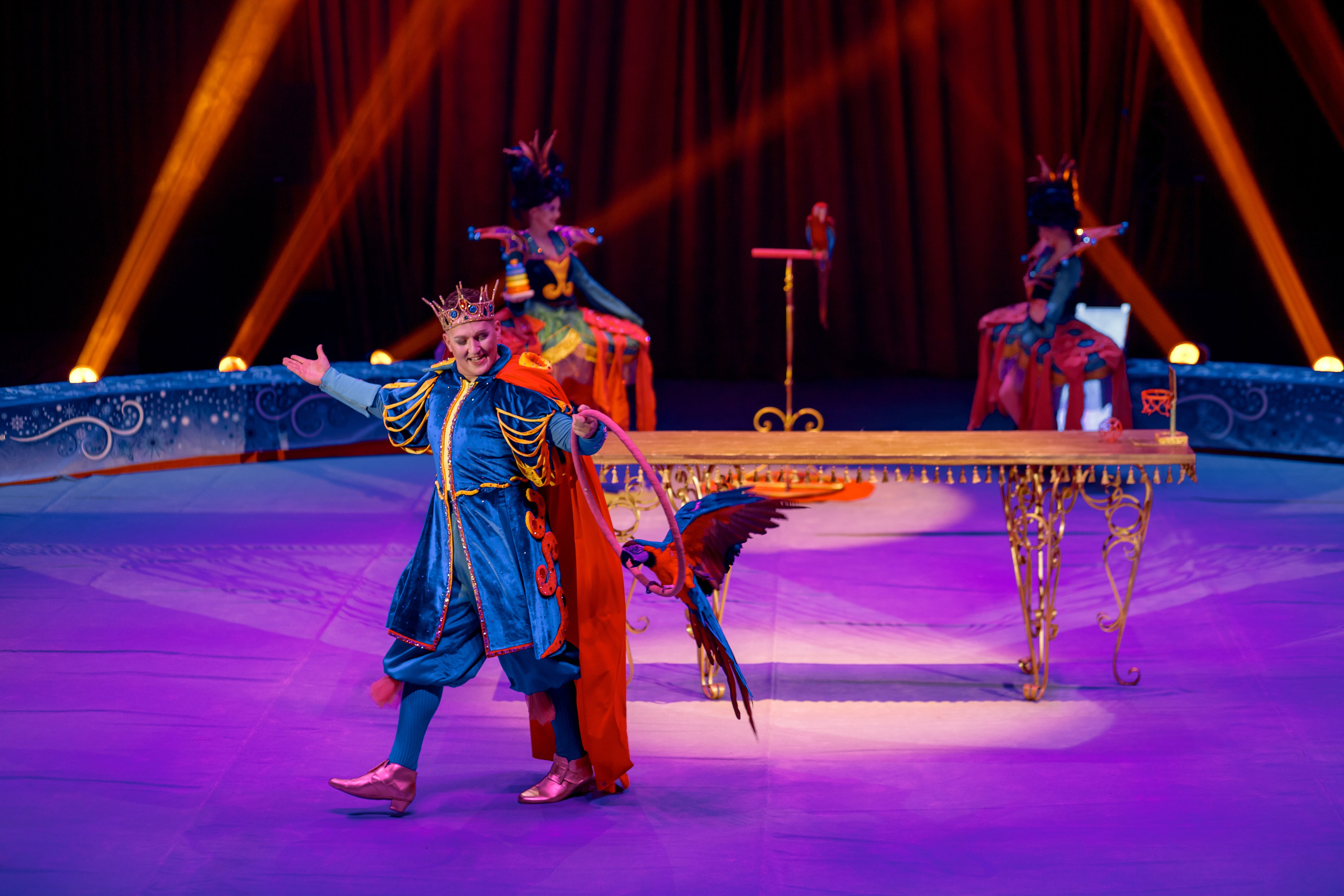 Цирк Moretti в Иркутске. Свадебный фотограф Иркутск, репортажный фотограф Иркутск