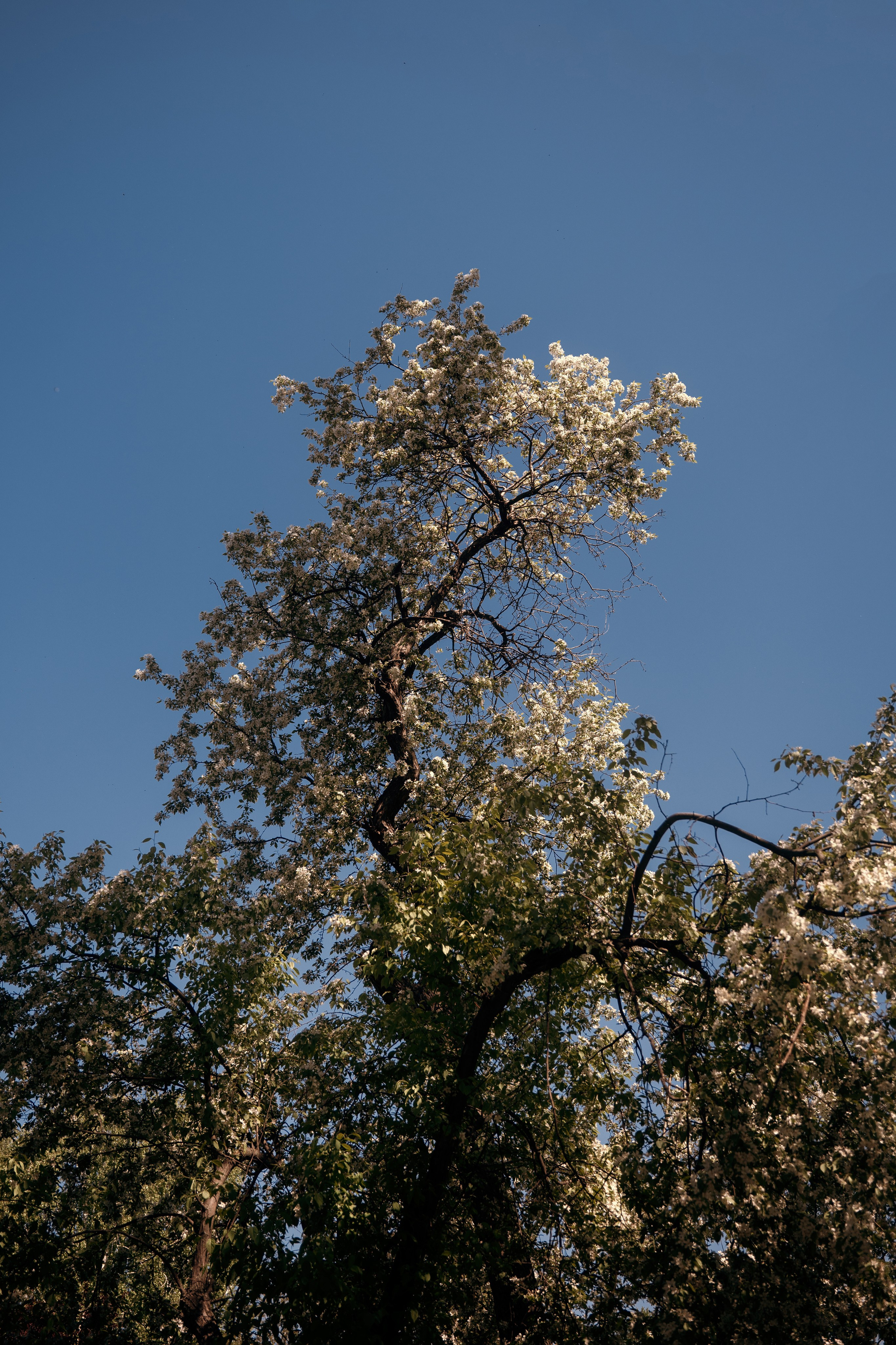 Загородный парк. Фотограф в Самаре Вадим Грязнов