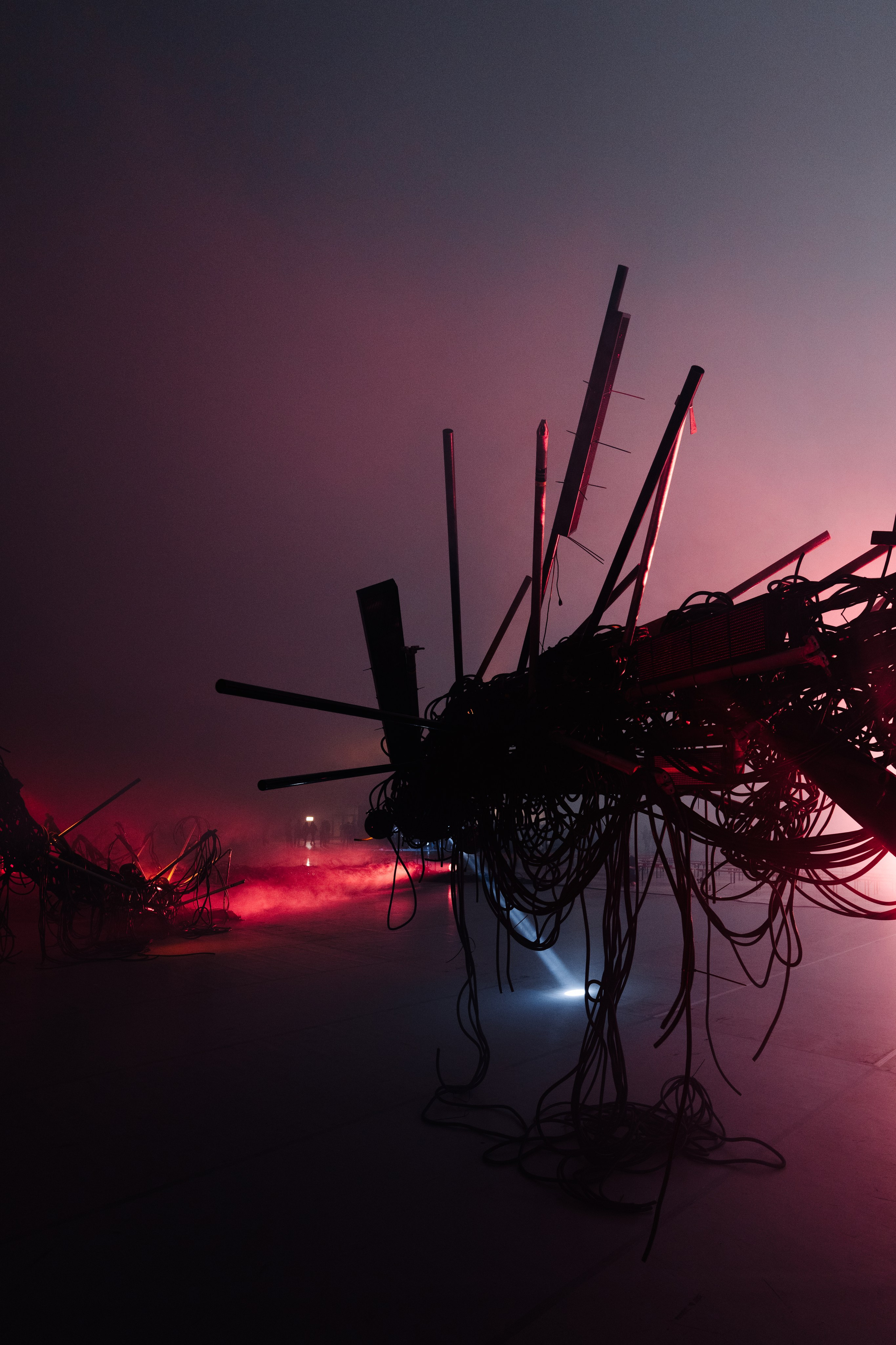 PANTERRA, CHRONOMORPH 001. @tomrus: Рустам Шагиморданов — фотограф