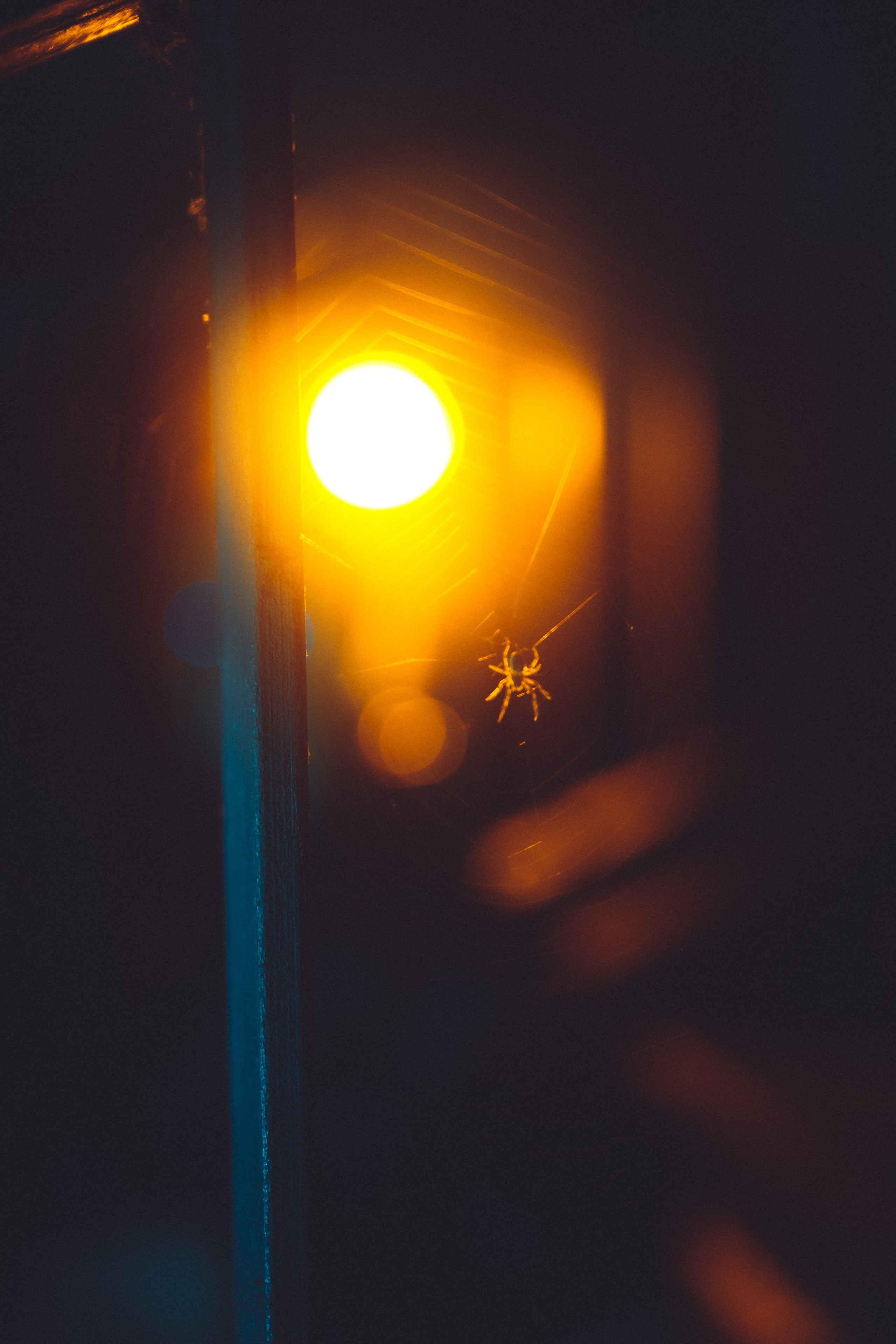 Полина. Фотограф Калининград Илья Миллер