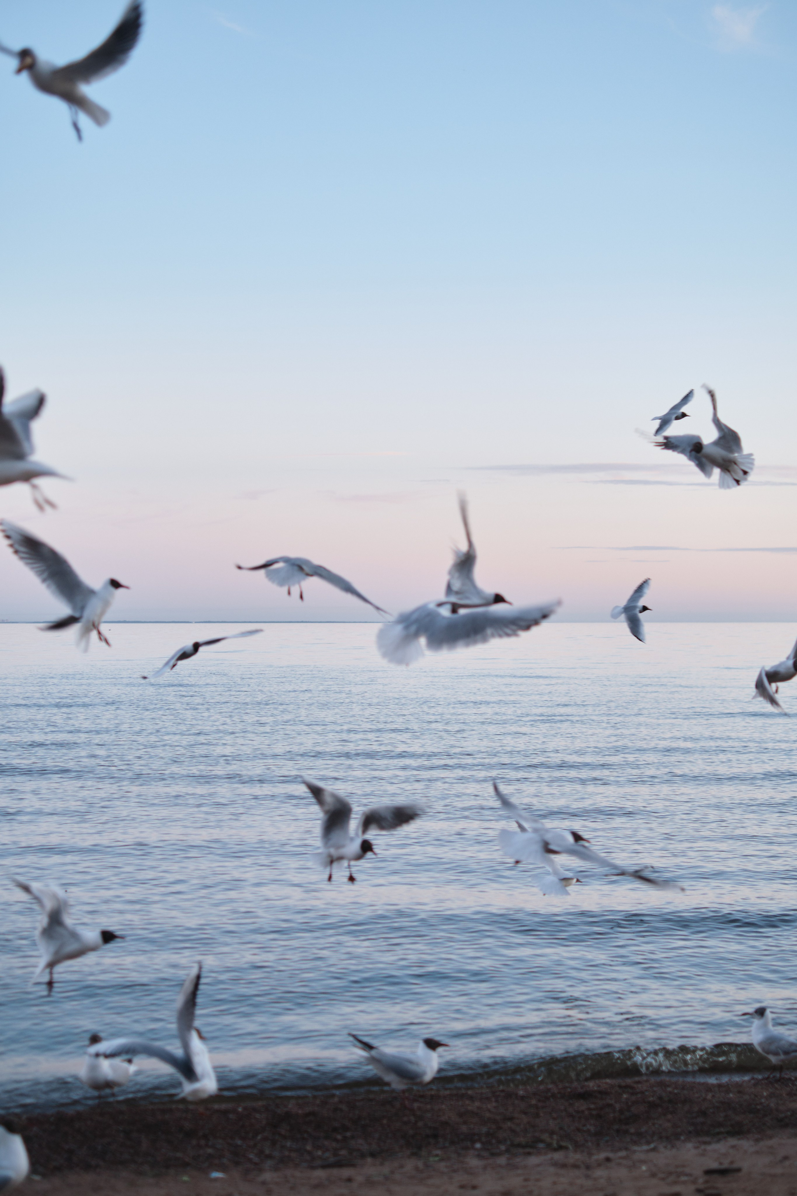 Анна и Дмитрий. Фотограф в Москве и Санкт-Петербурге
