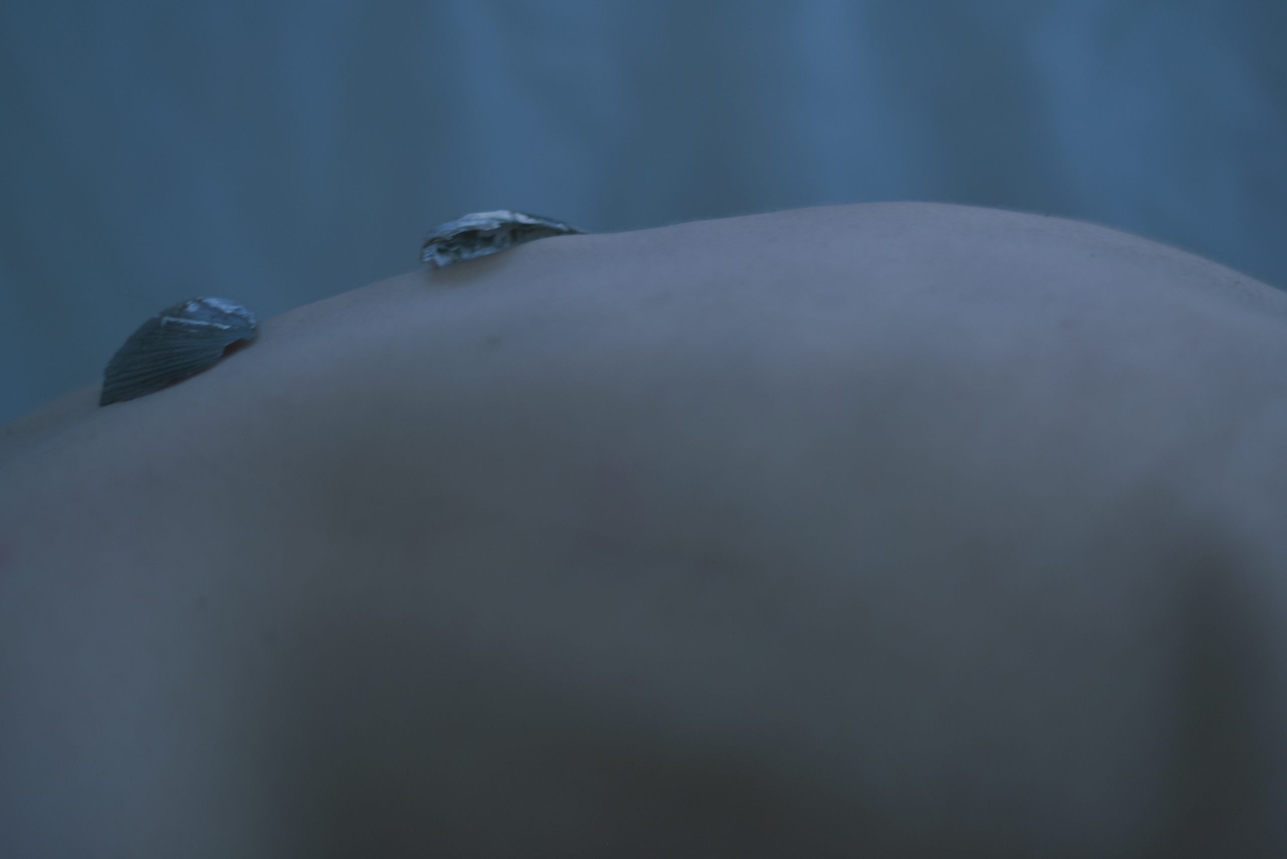 Inside Out (2024). Междисциплинарный художник и режиссер София Меликова