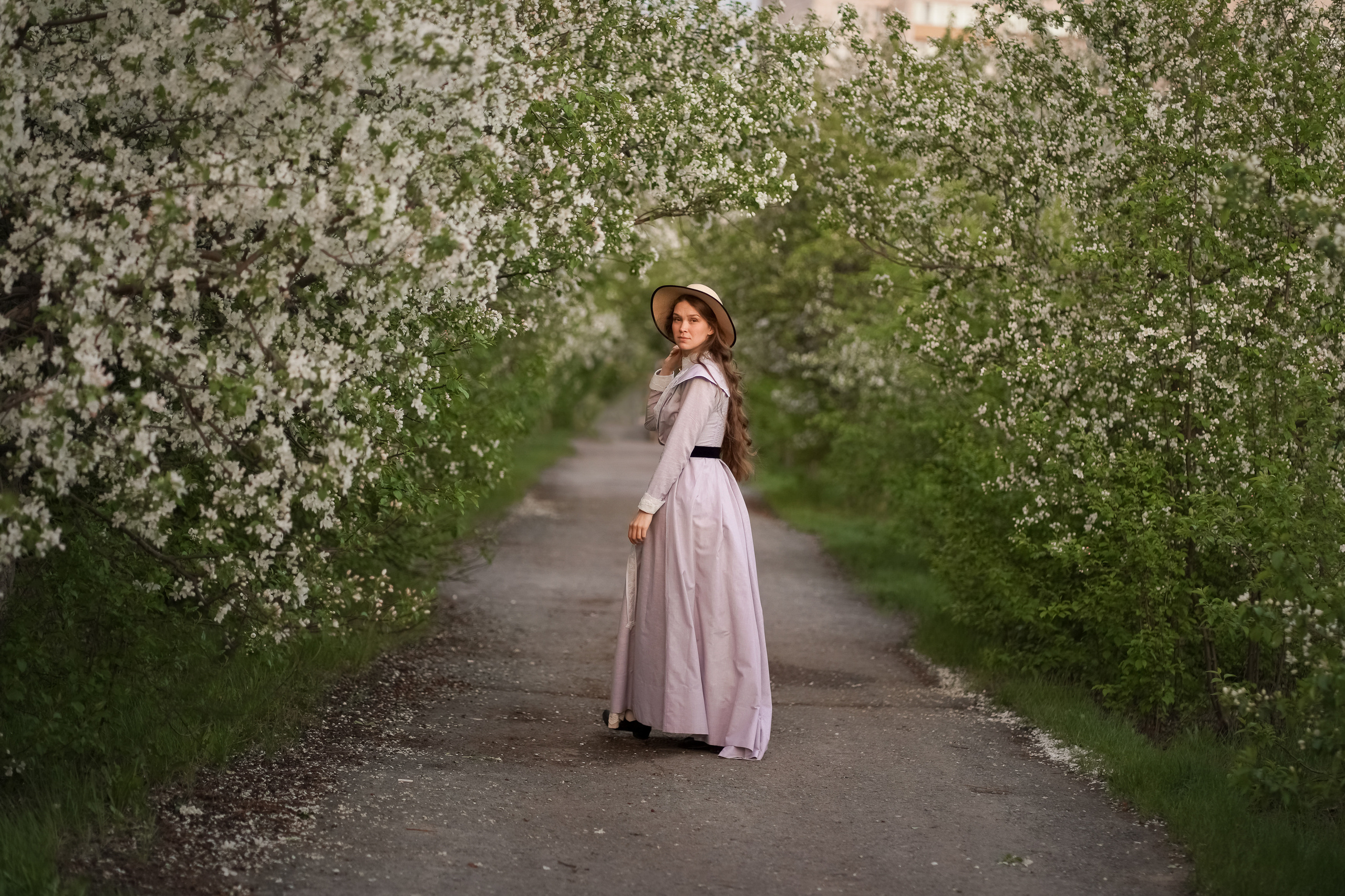 В белоснежных лепестках. Фотограф Татьяна Митрофанова