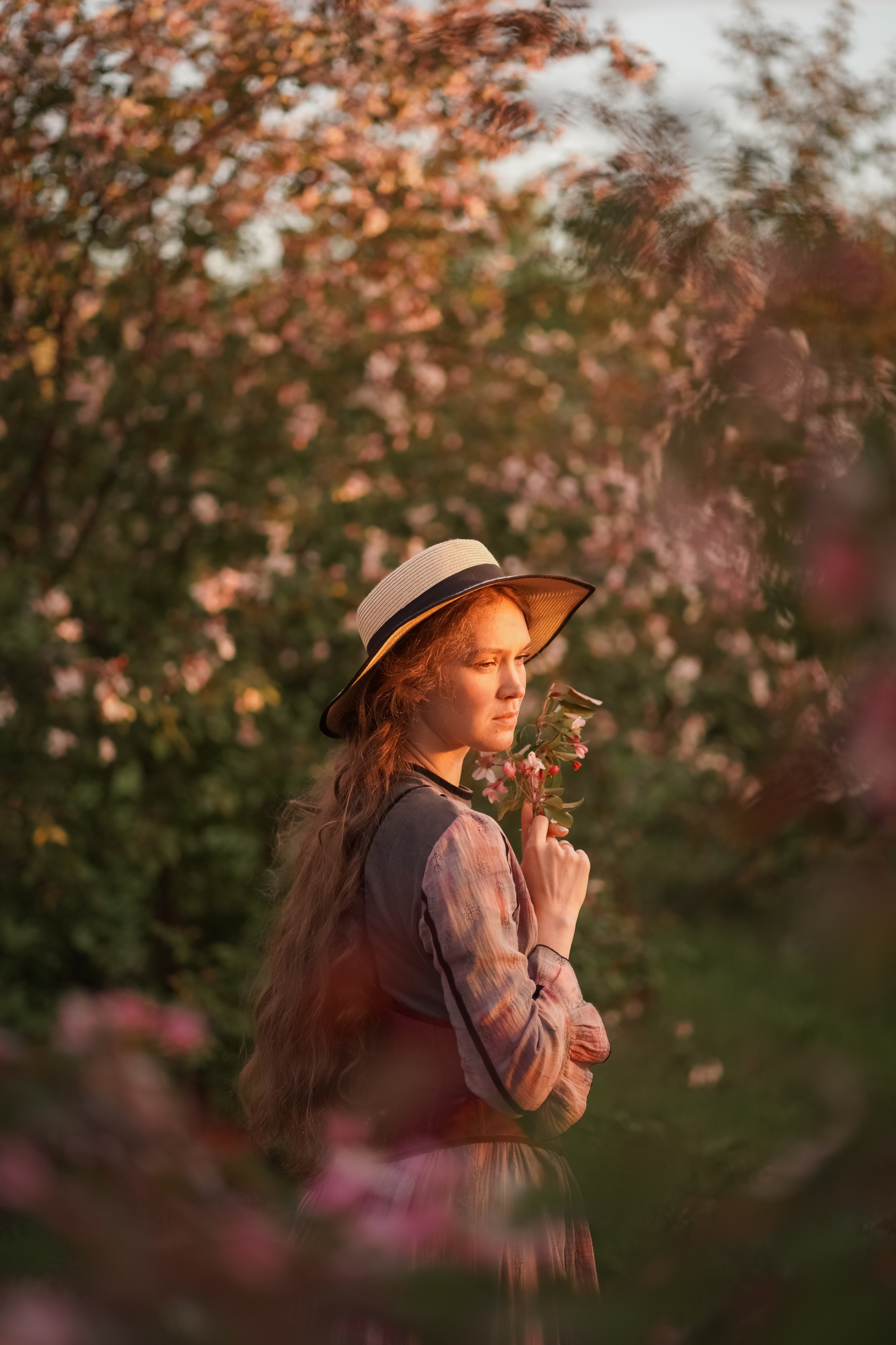 Яблоневый закат. Фотограф Татьяна Митрофанова