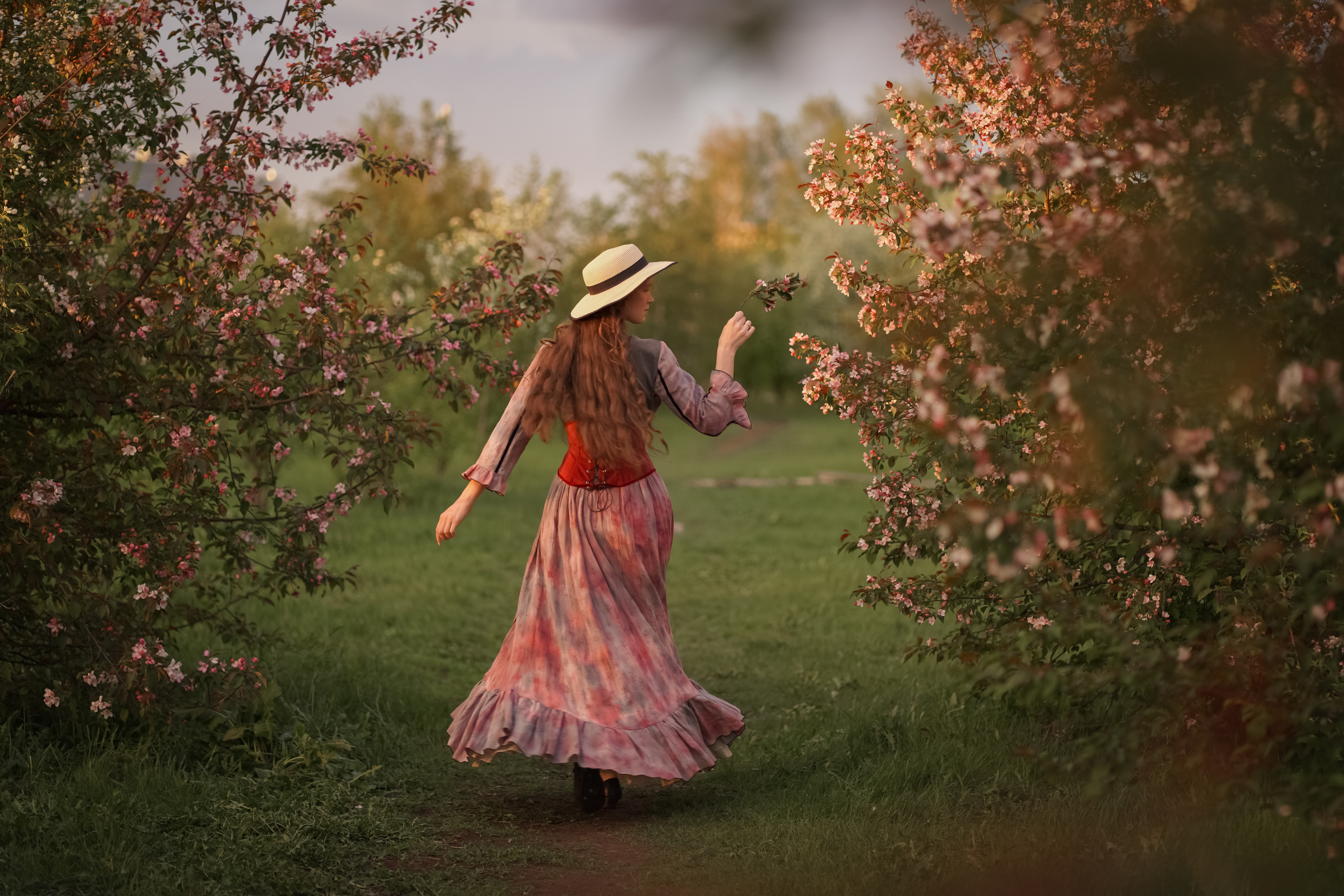Яблоневый закат. Фотограф Татьяна Митрофанова