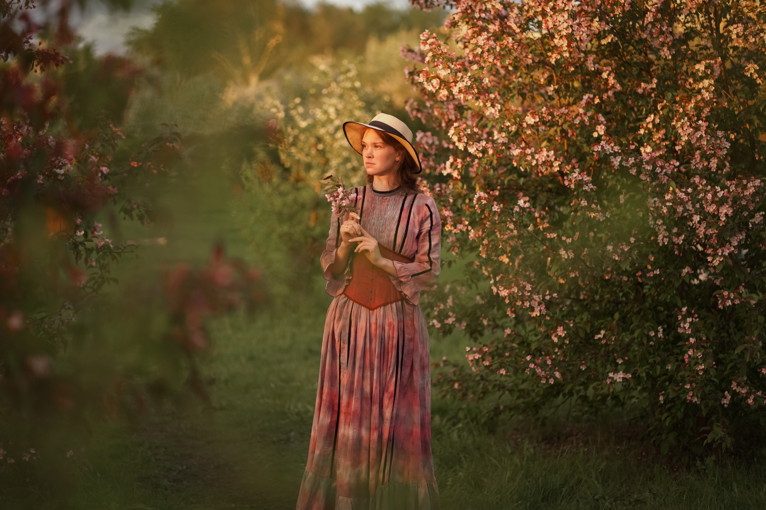 Яблоневый закат. Фотограф Татьяна Митрофанова