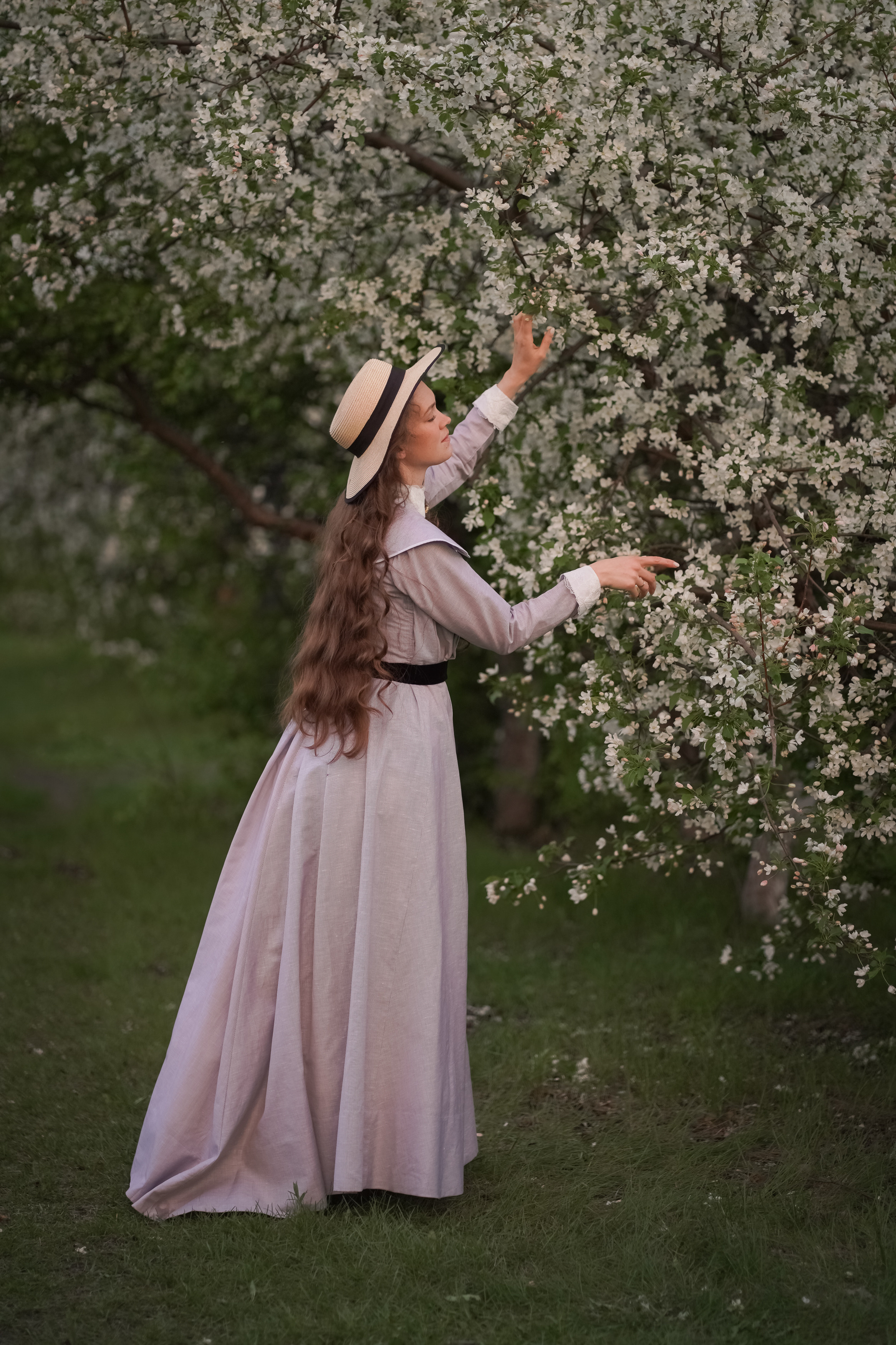 В белоснежных лепестках. Фотограф Татьяна Митрофанова