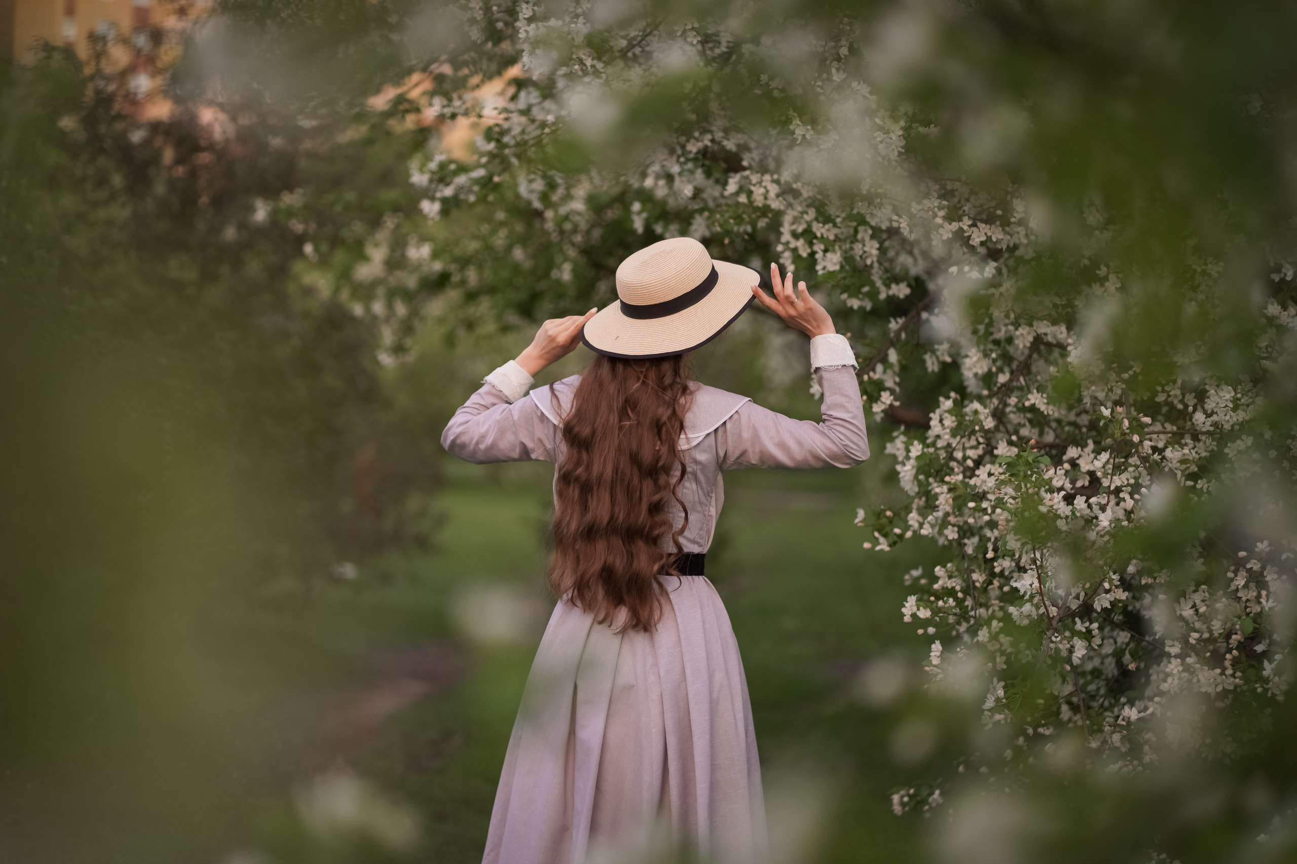 В белоснежных лепестках. Фотограф Татьяна Митрофанова