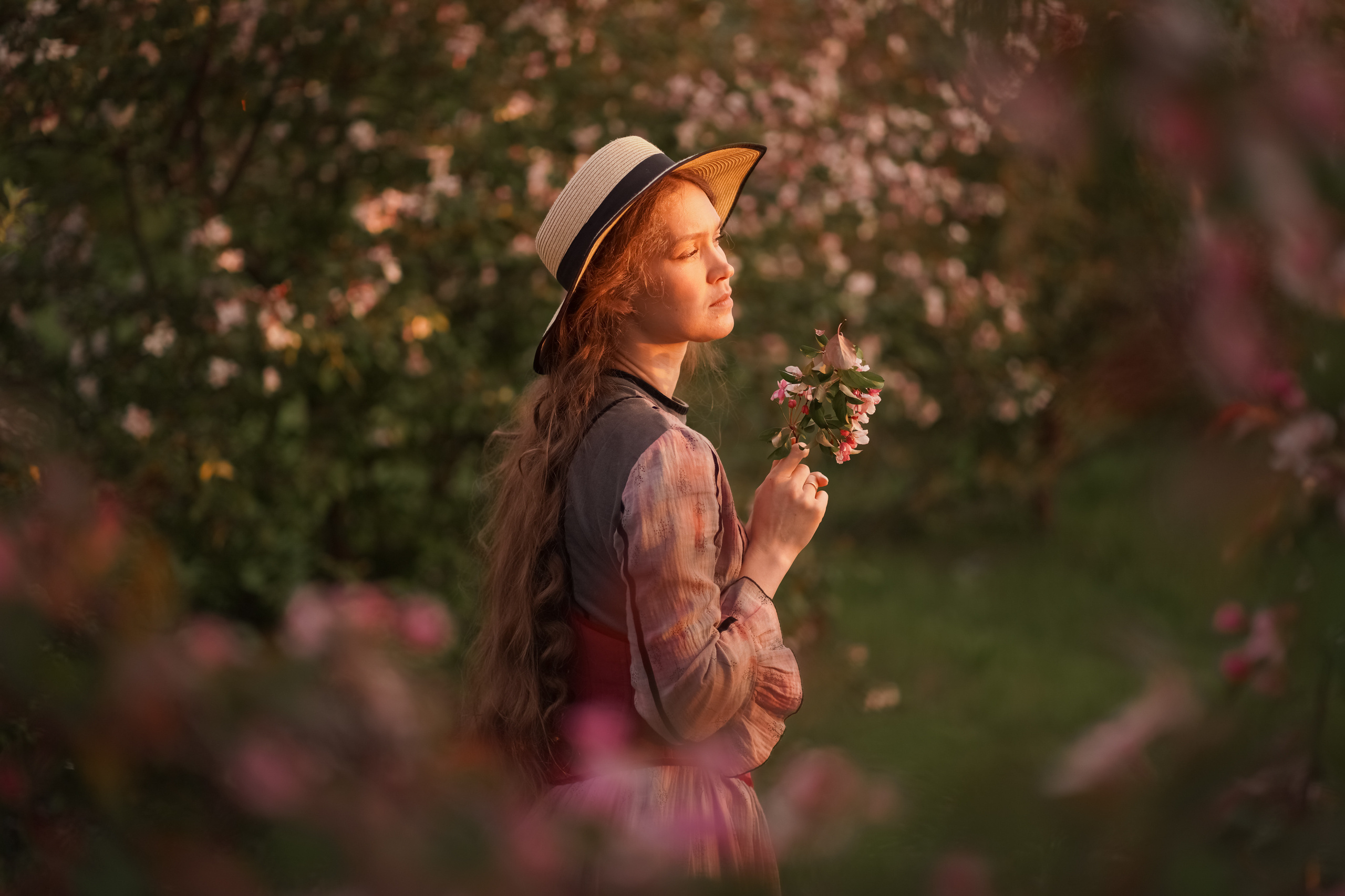 Яблоневый закат. Фотограф Татьяна Митрофанова