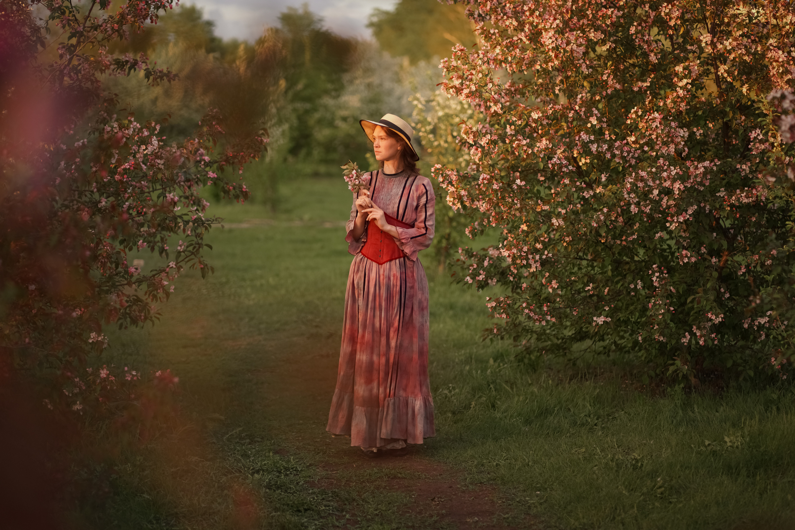 Яблоневый закат. Фотограф Татьяна Митрофанова