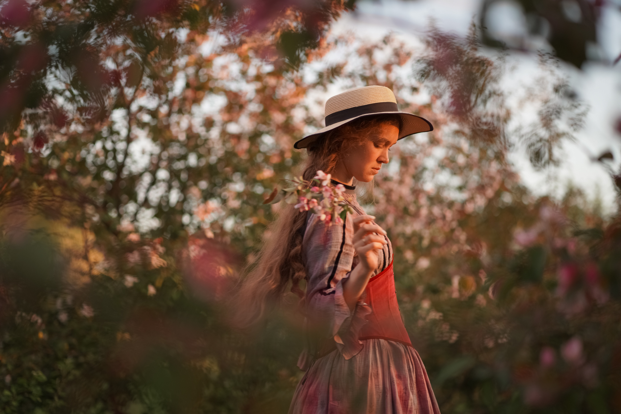 Яблоневый закат. Фотограф Татьяна Митрофанова