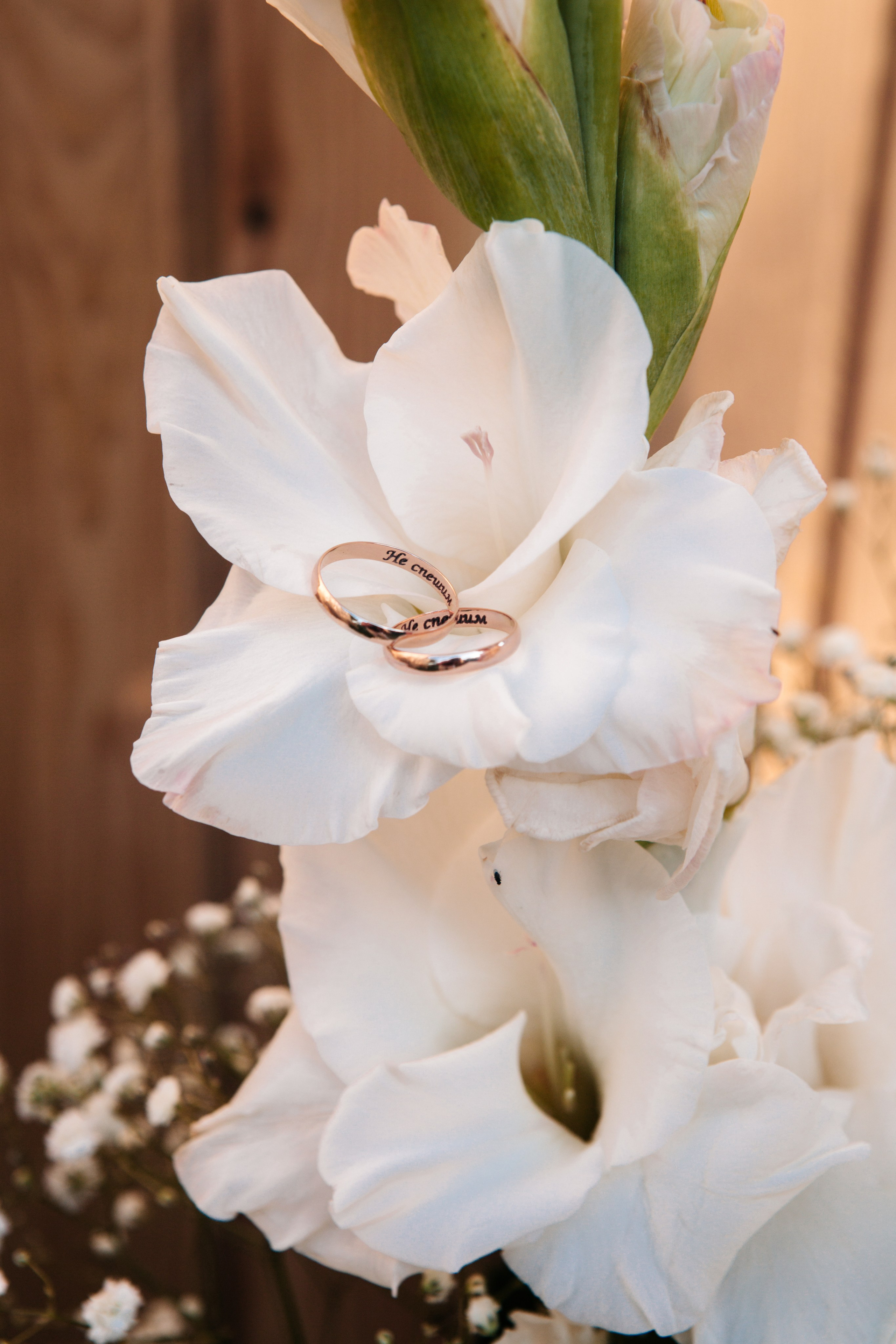 • Анна & Глеб •. Семейный и свадебный фотограф в Воронеже Майя Добровольская