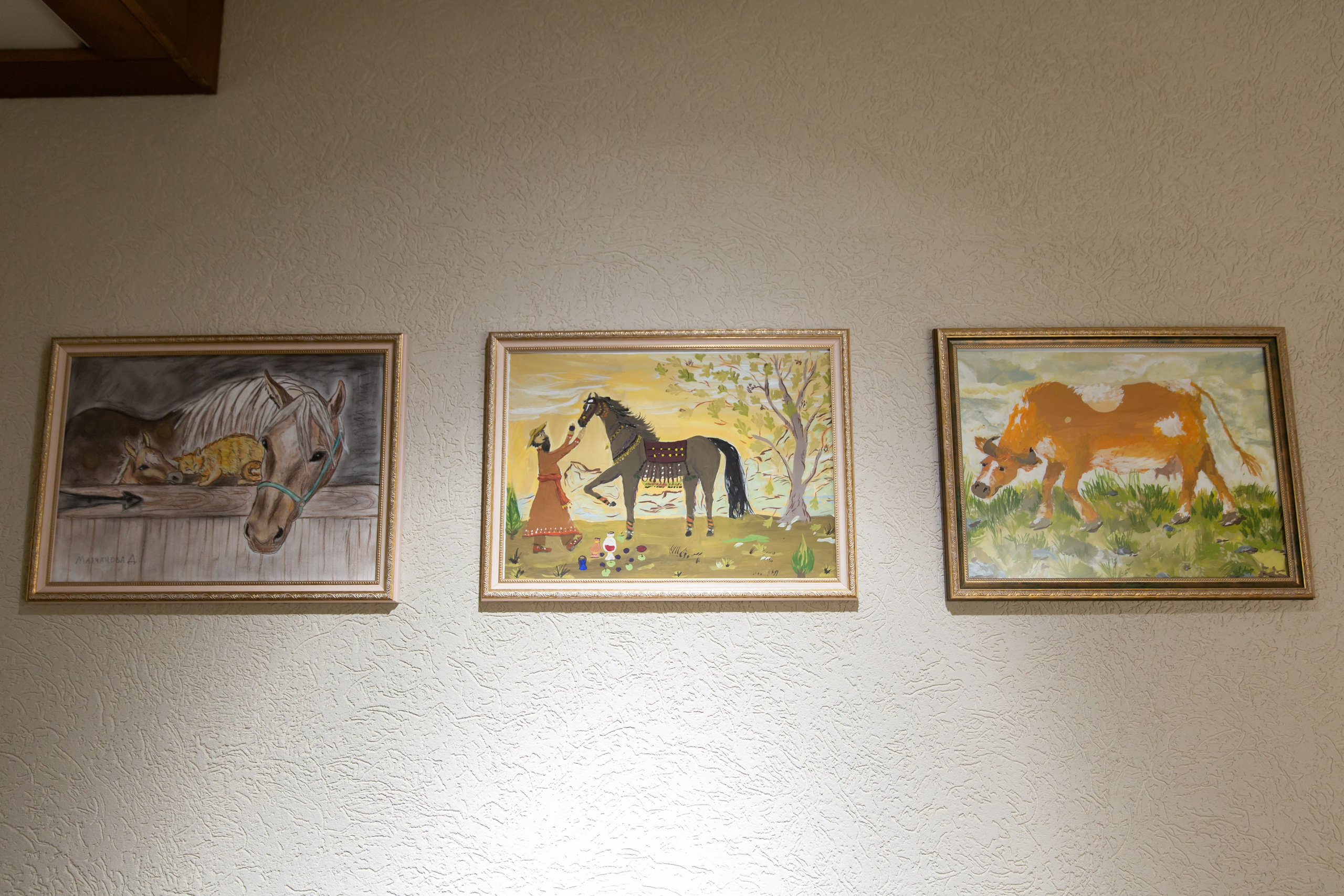 Конюшня. Снимаю съемки